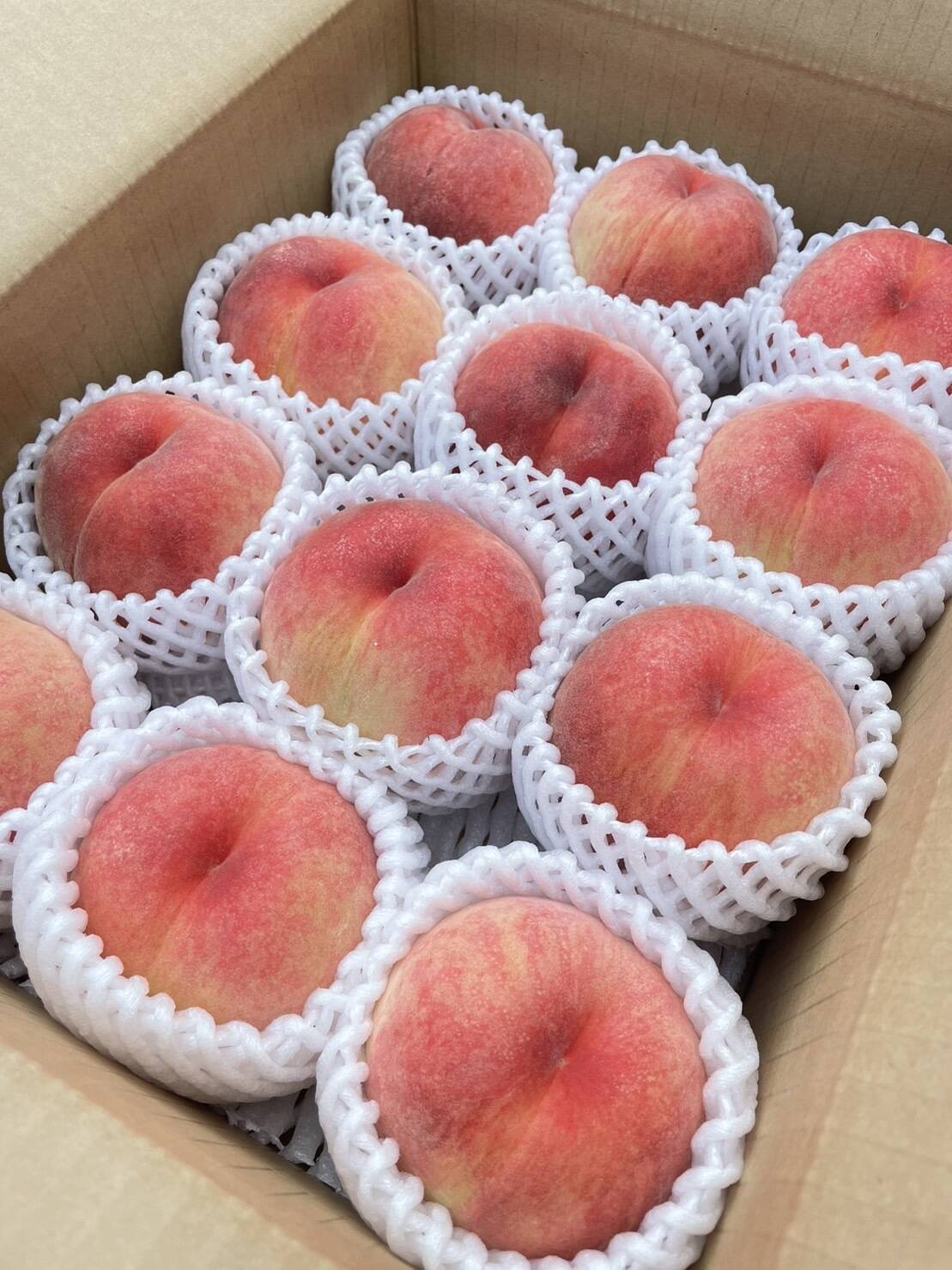 ☆予約開始☆桃 山形県産 【白桃品種お任せ】3kg箱(8〜12玉) ご家庭用