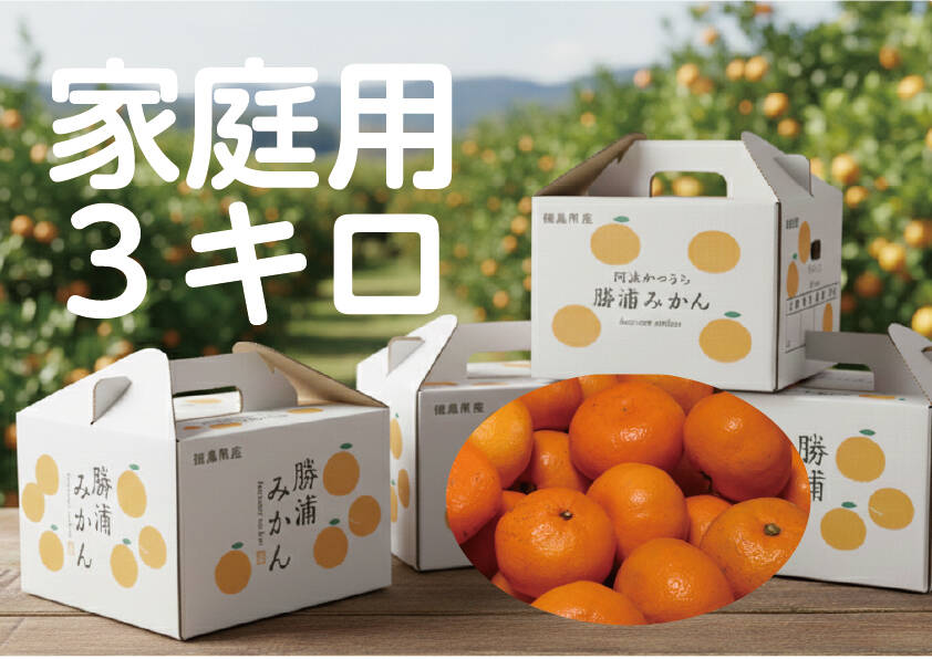 寒い冬にどうぞ】今が一番おいしい中生みかん（家庭用）3kg｜勝浦町産