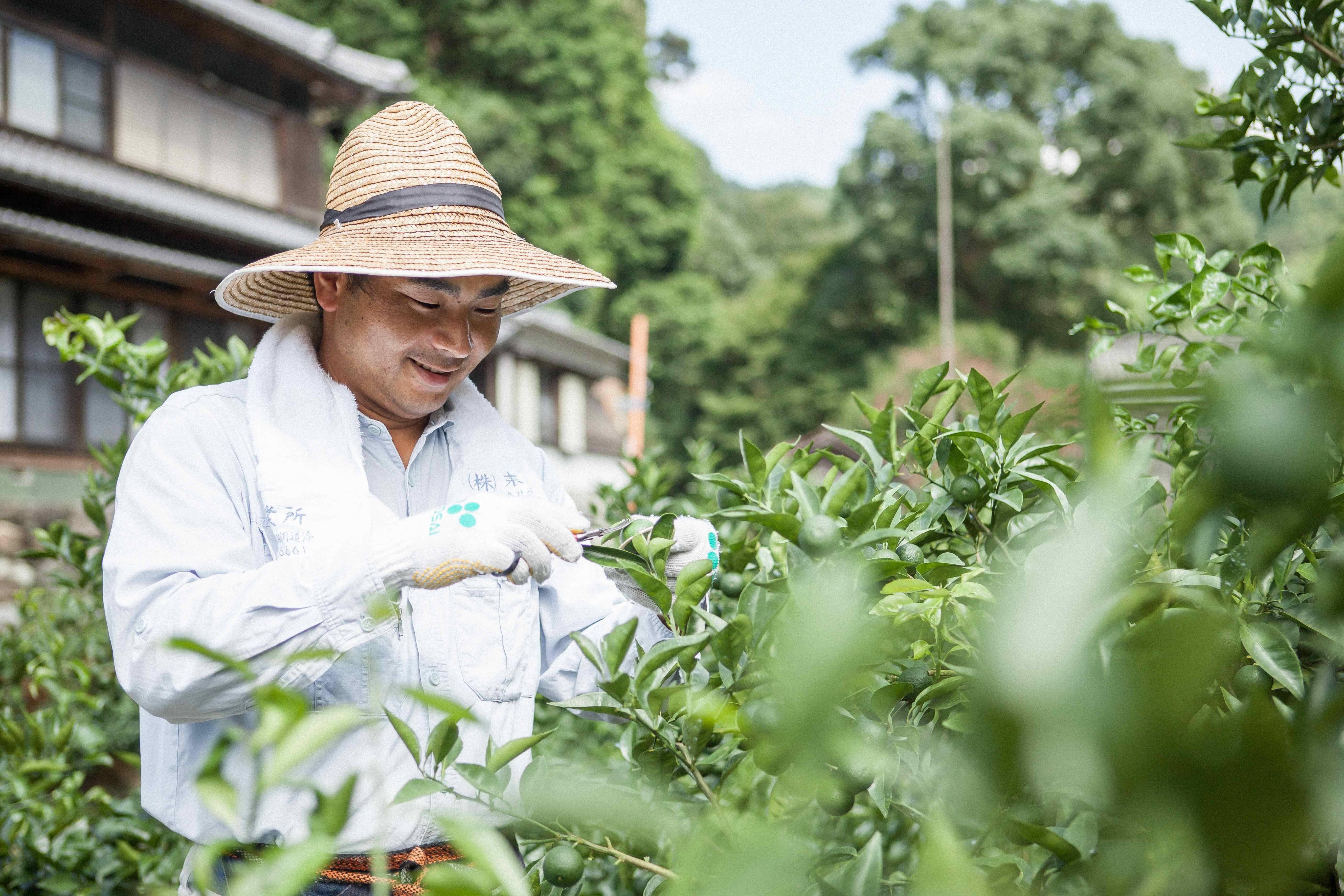 見杉宗則　リトグラフ　Market 里山みらいへのレビュー・商品：徳島県｜食べチョク｜産地直送(産直)お