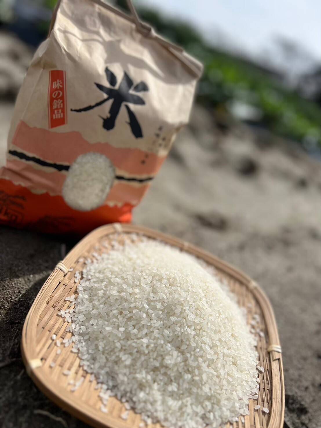 令和7年産【にこまる】玄米・種子消毒なし20㎏：静岡県産のにこまる