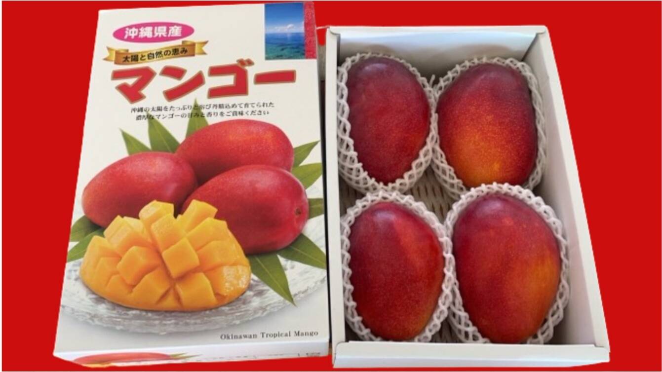 W1146様/ 沖縄産アーウィン&金蜜マンゴー(2箱)セット マンゴー 予約販売 沖縄 お土産 果物 フルーツ 贈答用 沖縄県産