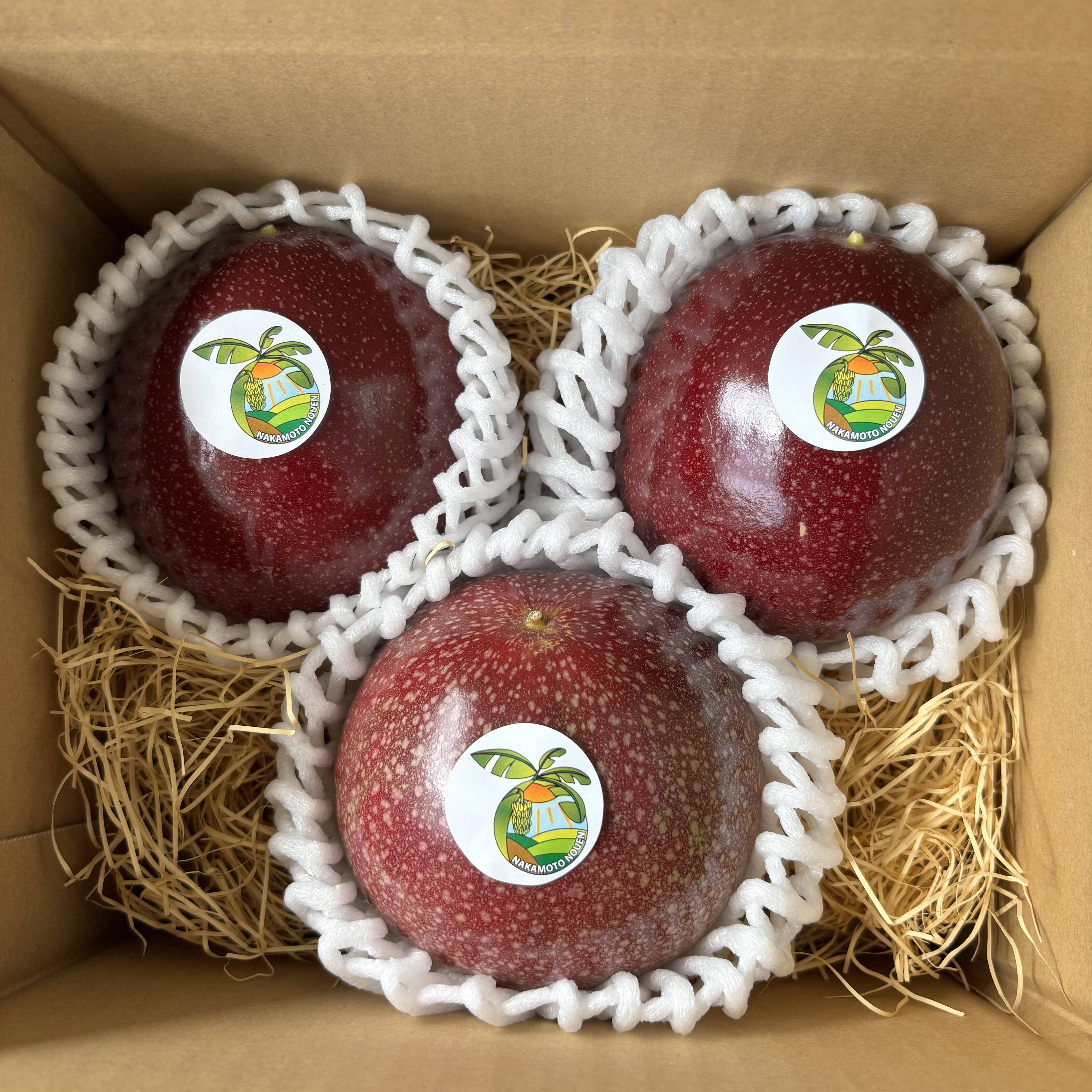 沖縄県産 パッションフルーツＢ品 約４kg【常温便】③ 沖縄県より産地直送 JAおきなわ パッションフルーツ Sから3L