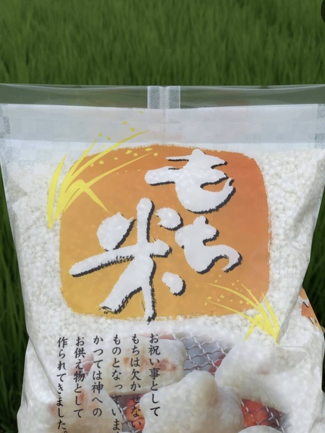 令和七年度産:お祝いの日に！そうでない日も！もち米10キロ（精米