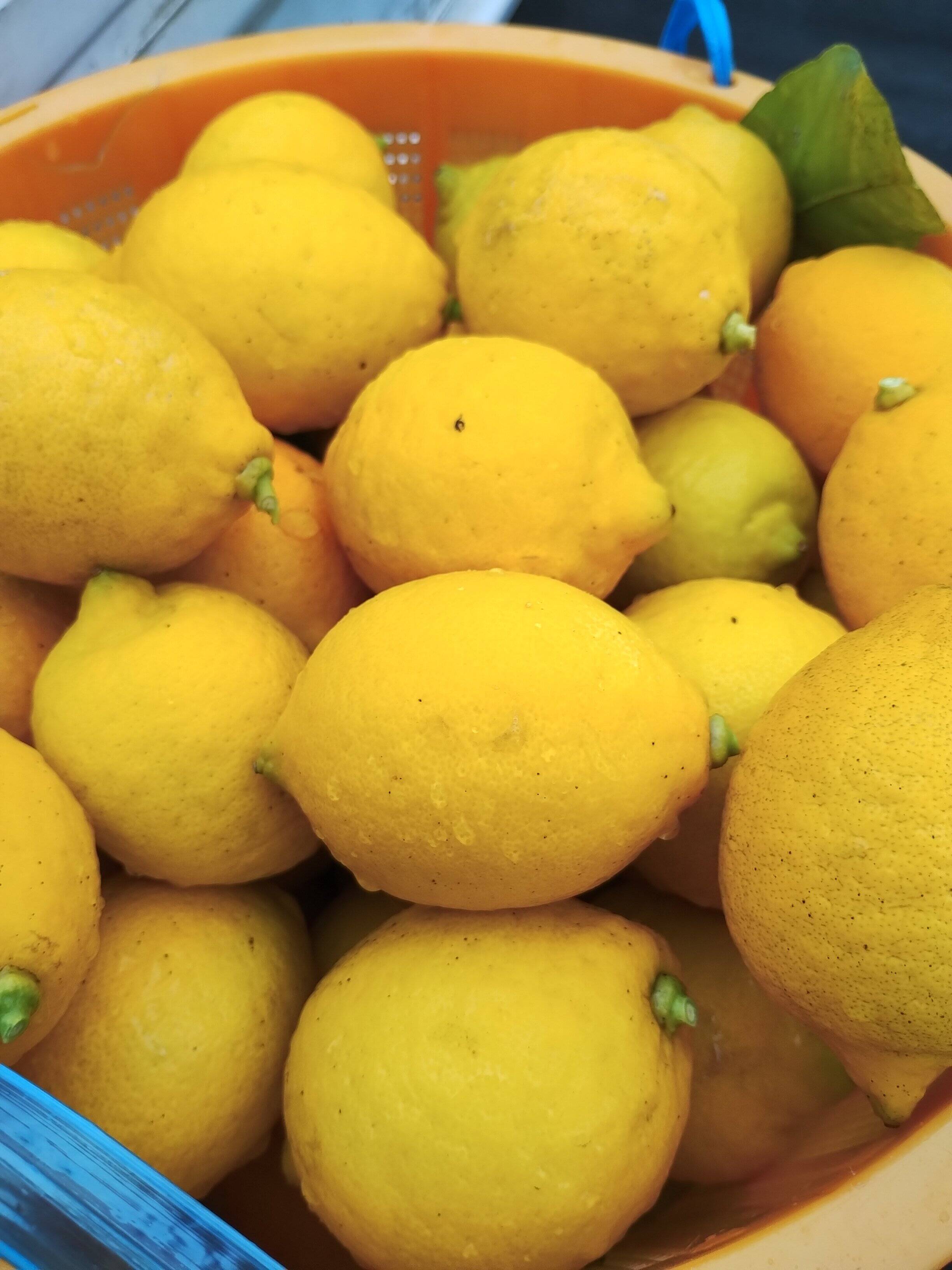 栽培期間農薬不使用】大崎上島産完熟レモン2kg：広島県産のみかん