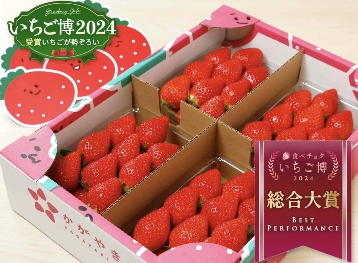 いちごグランプリ2024最高金賞】新鮮完熟やよいひめ（約275g×4P