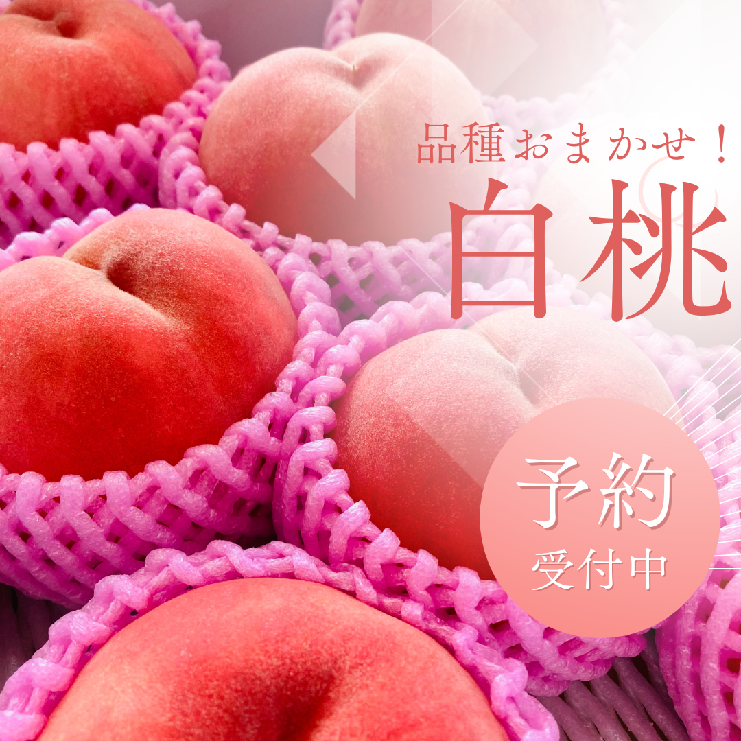 🍑果汁たっぷり！旬の白桃・品種おまかせ（約2kg・7〜9玉入り）（贈答
