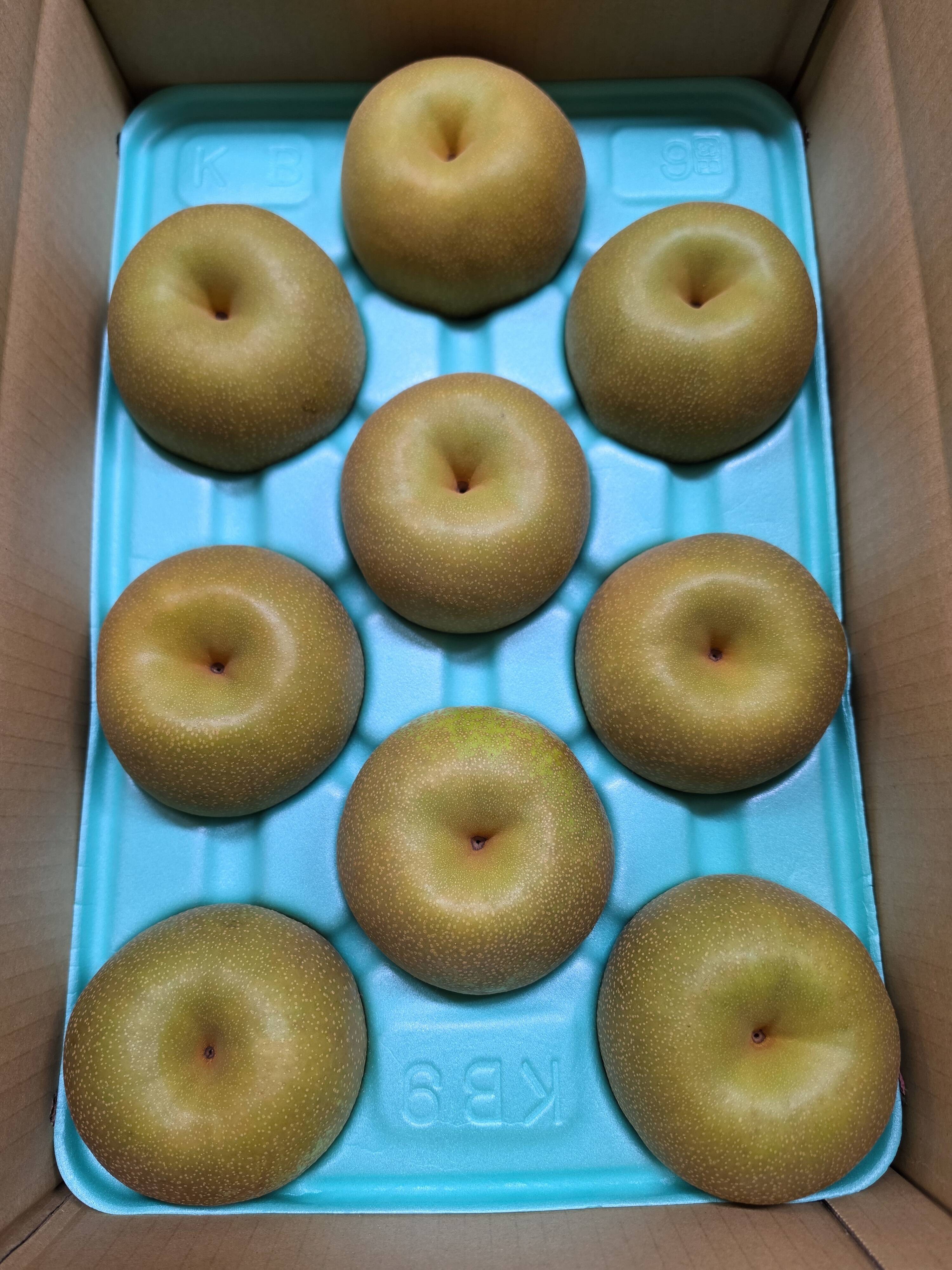 贈答品】梨 幸水 秀品 5Kg箱 特大（9玉 ~ 10玉) _2026：千葉県産の幸水