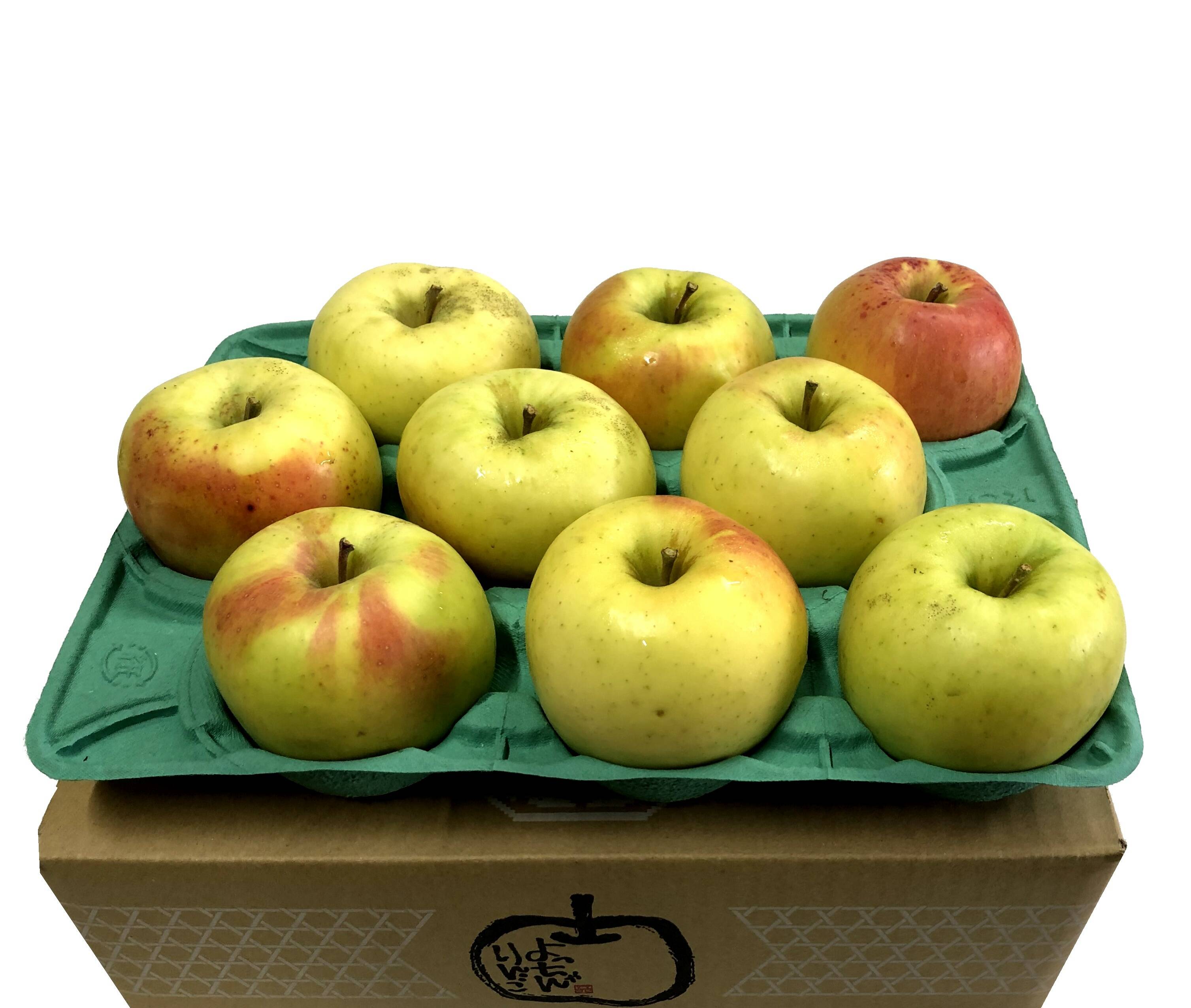 予約販売】青森県産ぐんま名月💛家庭用約2.7Kg🍏 数量限定：青森県産の