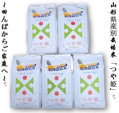 山形県産特別栽培米つや姫10kg(2kg×5袋)白米：山形県産のつや姫