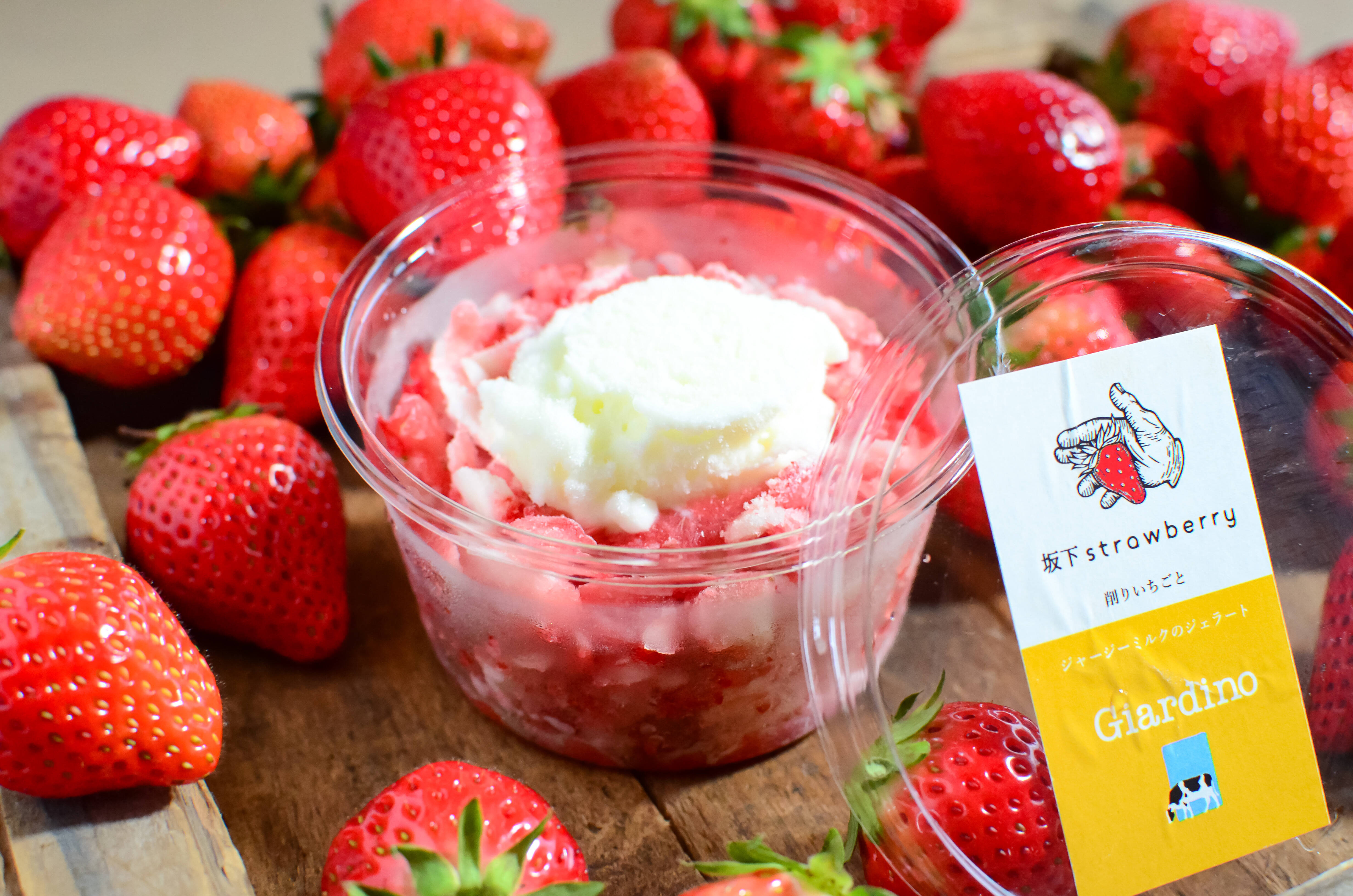 苺③Kazooさん専用 母の日ギフト】 削りいちごとミルクのジェラート（12個入り）熨斗付き