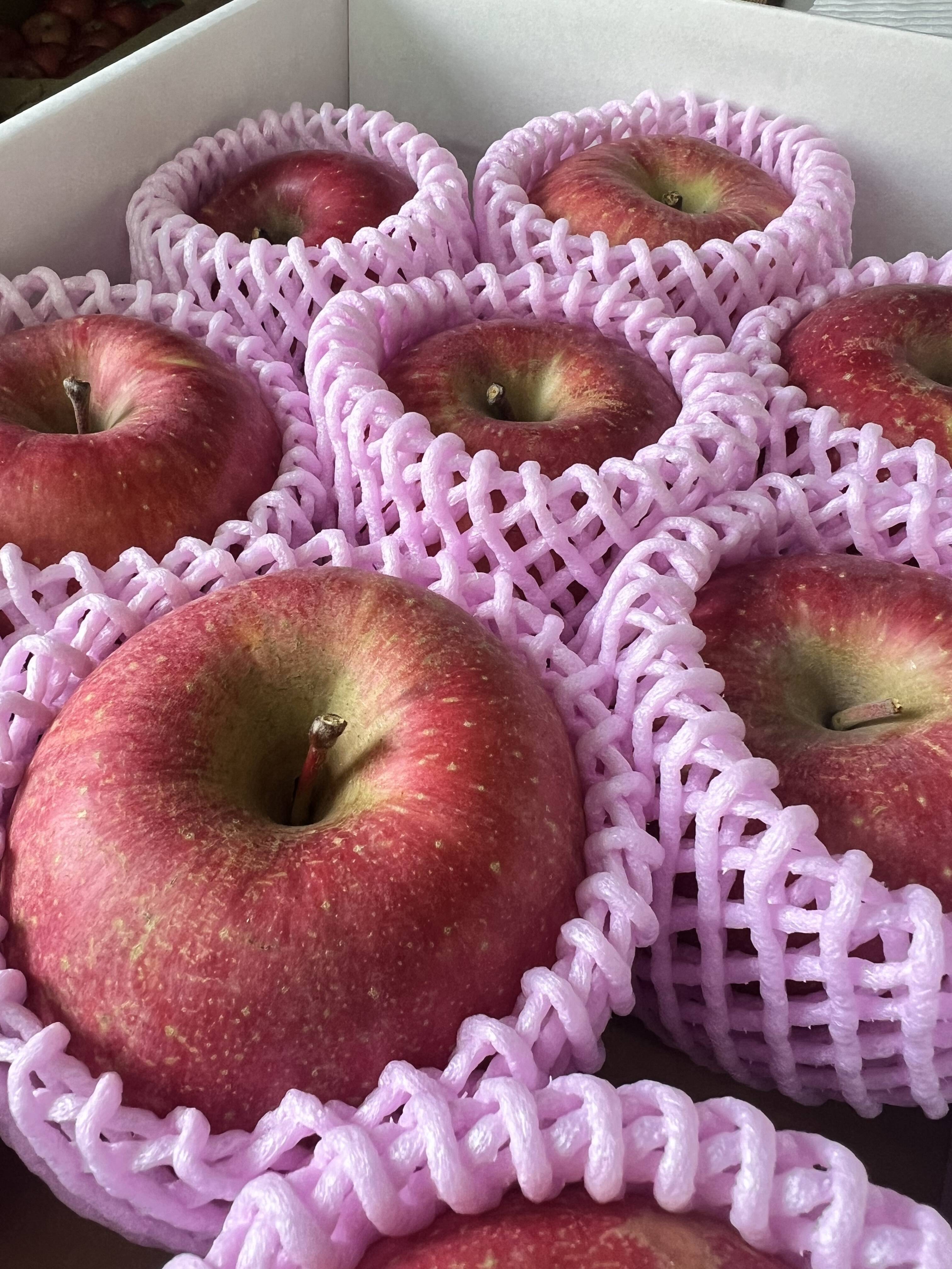 長野県産 サンザシ 3kg 長野県産 サンザシ 3kg さんざし（山査子）パウダー 25g 国産 長野県南