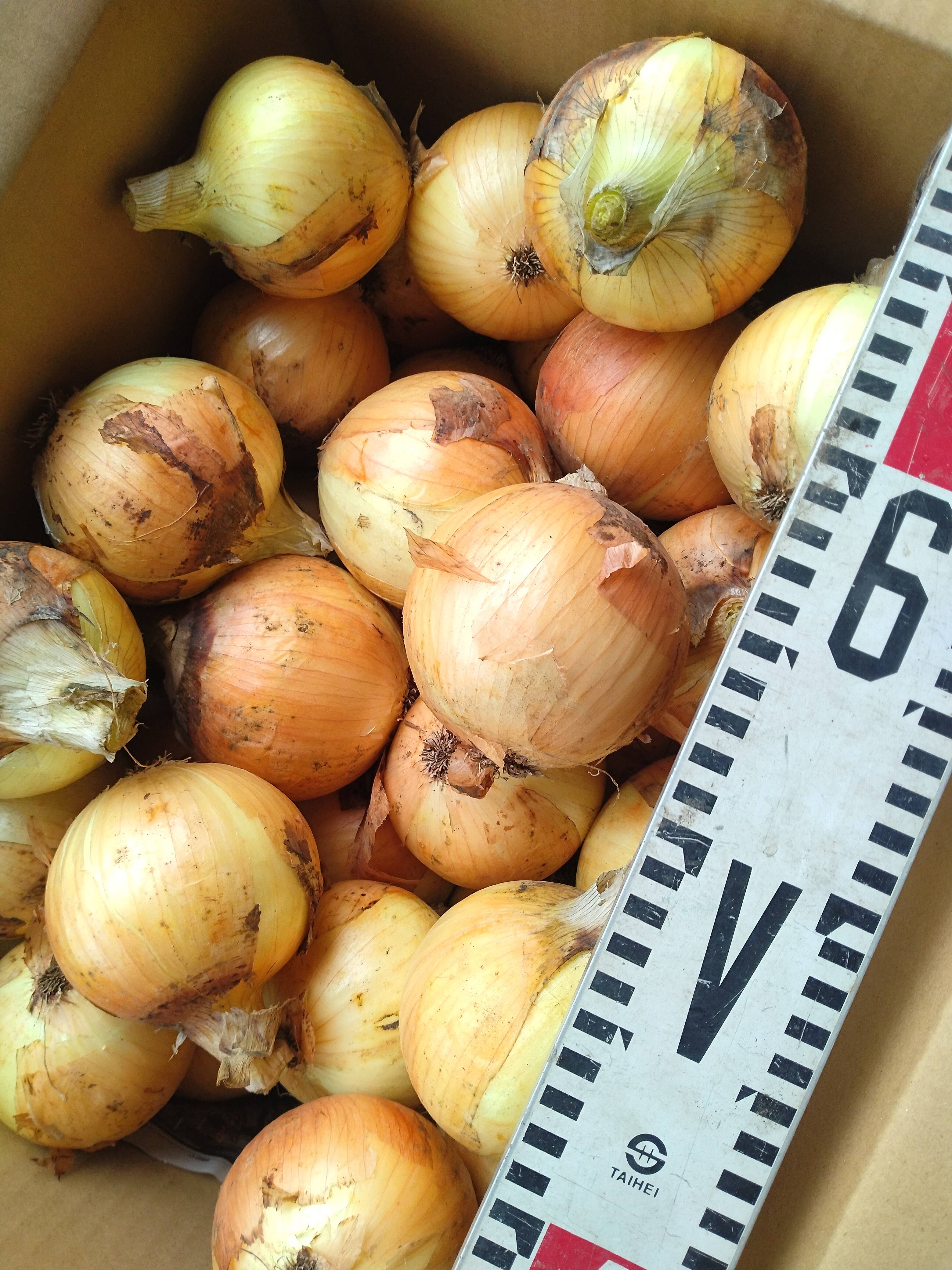 53faa707567f443111422e7606313b