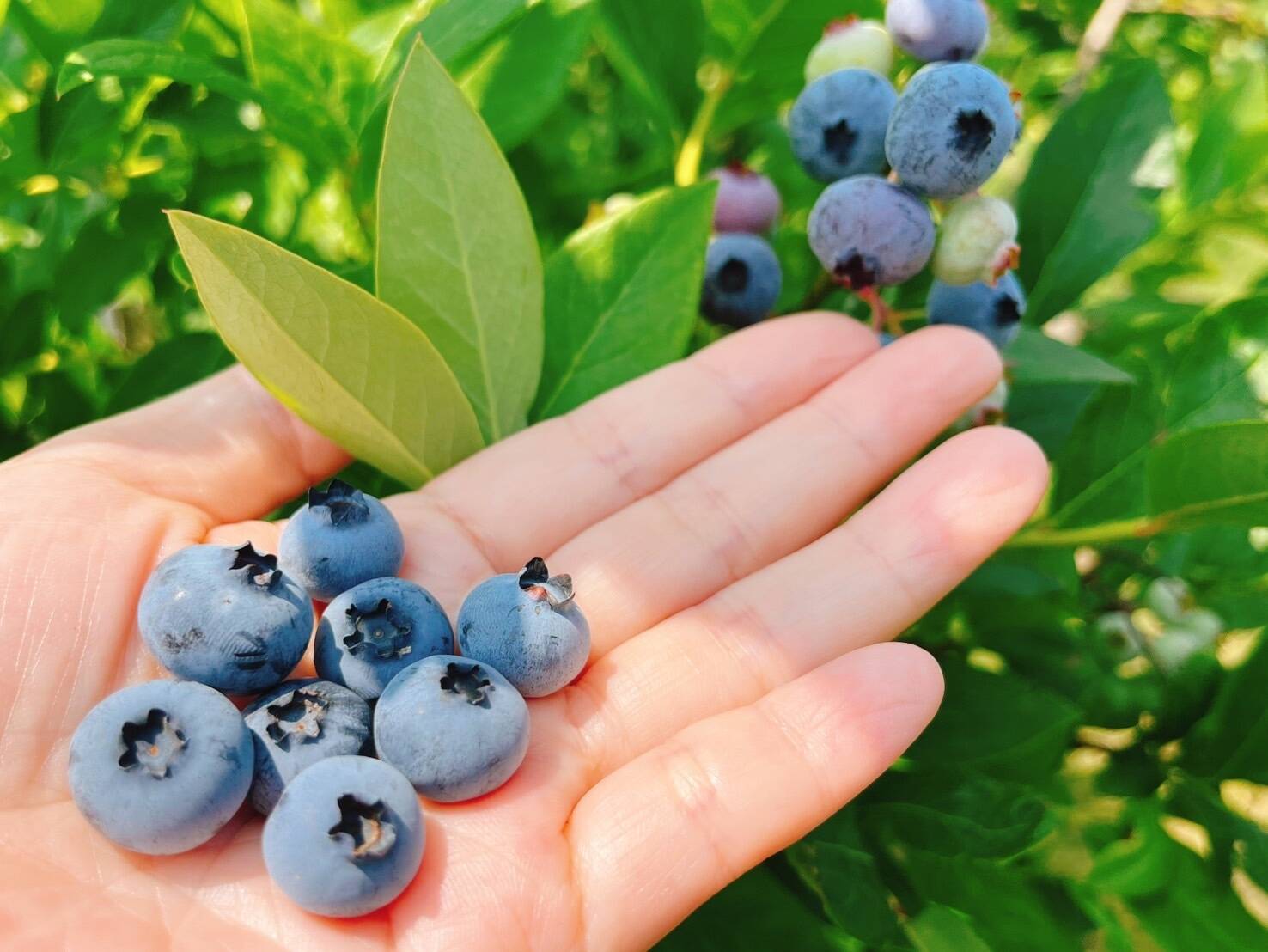 5401471be4d5fd9e1dd20860665121