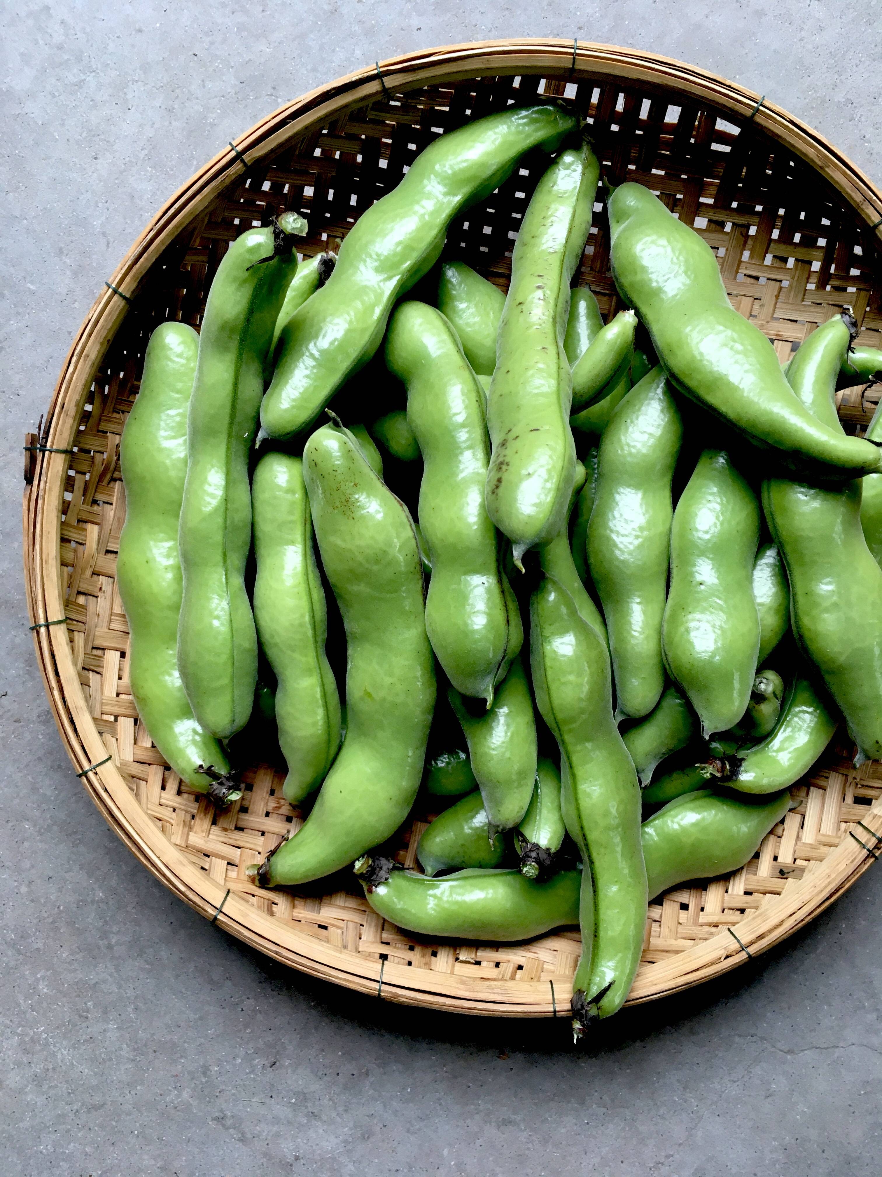 有機JAS認証 そら豆】貴重な京都産有機そら豆！リピーター続出！短い旬