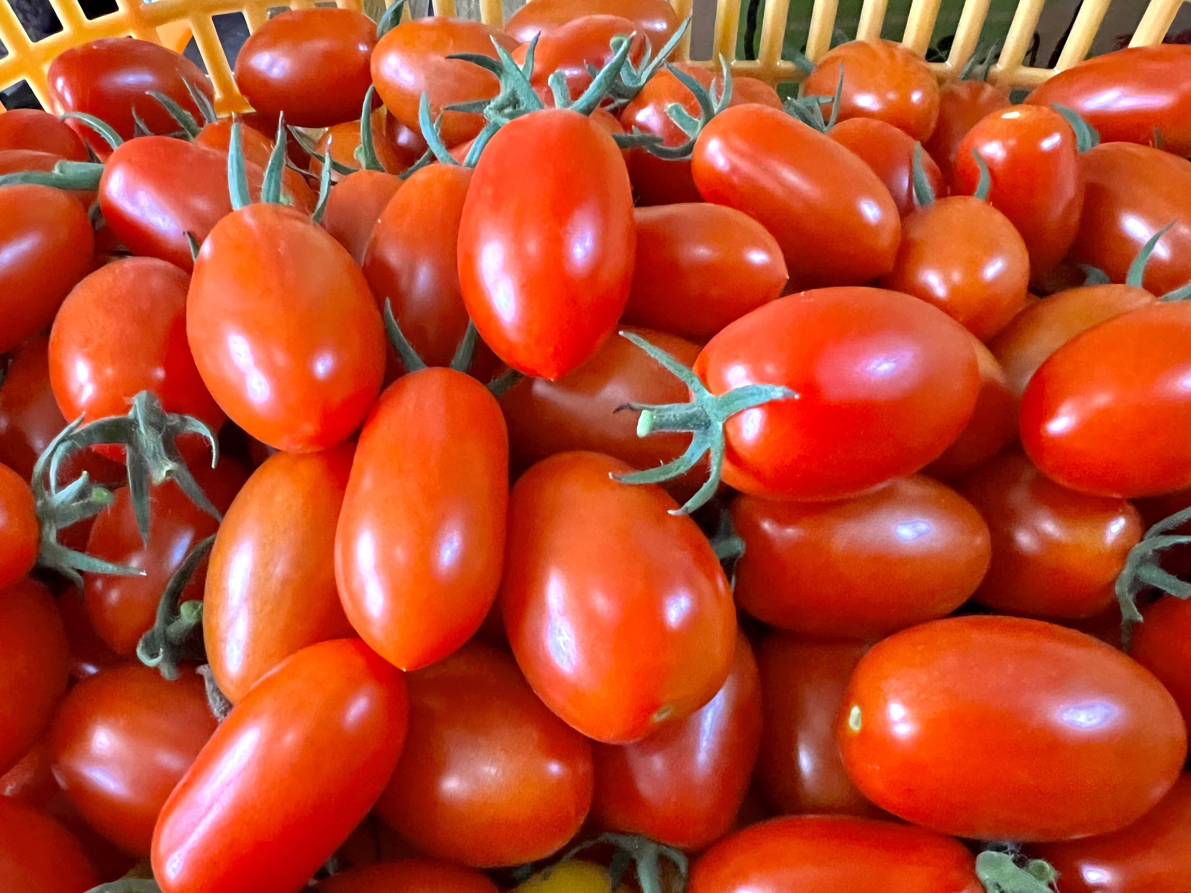 向井ファーム 小谷 向井農園 (@mukai.farm) • Instagram photos and videos