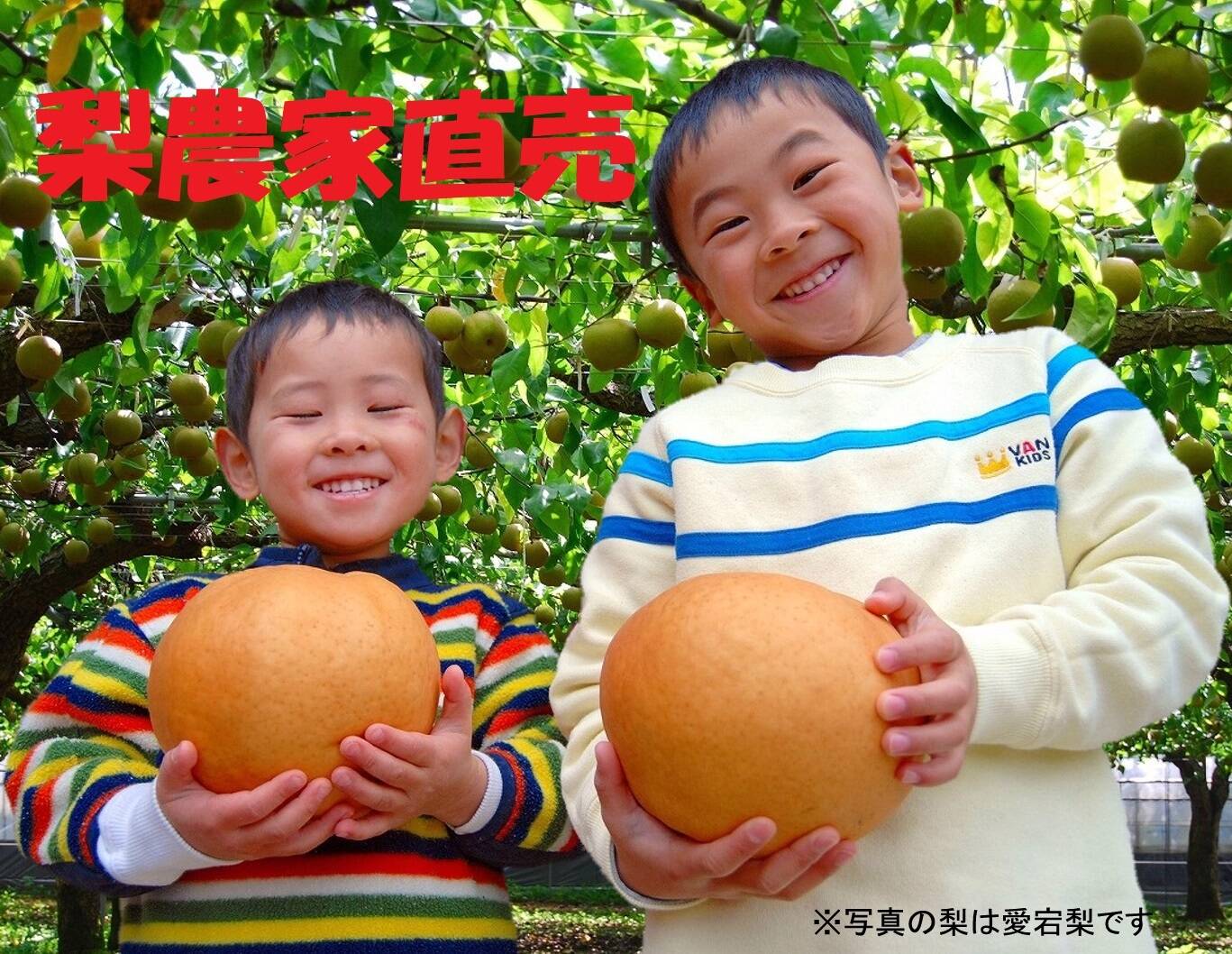 54523b0cd0db20b72009822ee86fa6