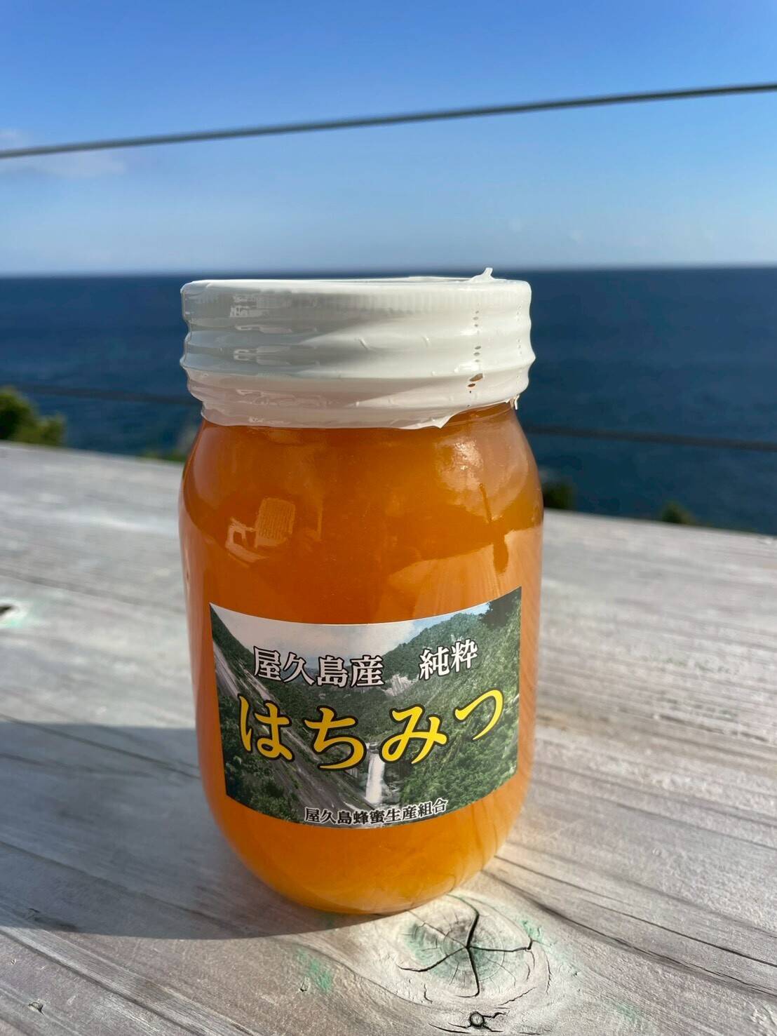 超贅沢！自然の恩恵を受けた屋久島産はちみつ600g：鹿児島県産の