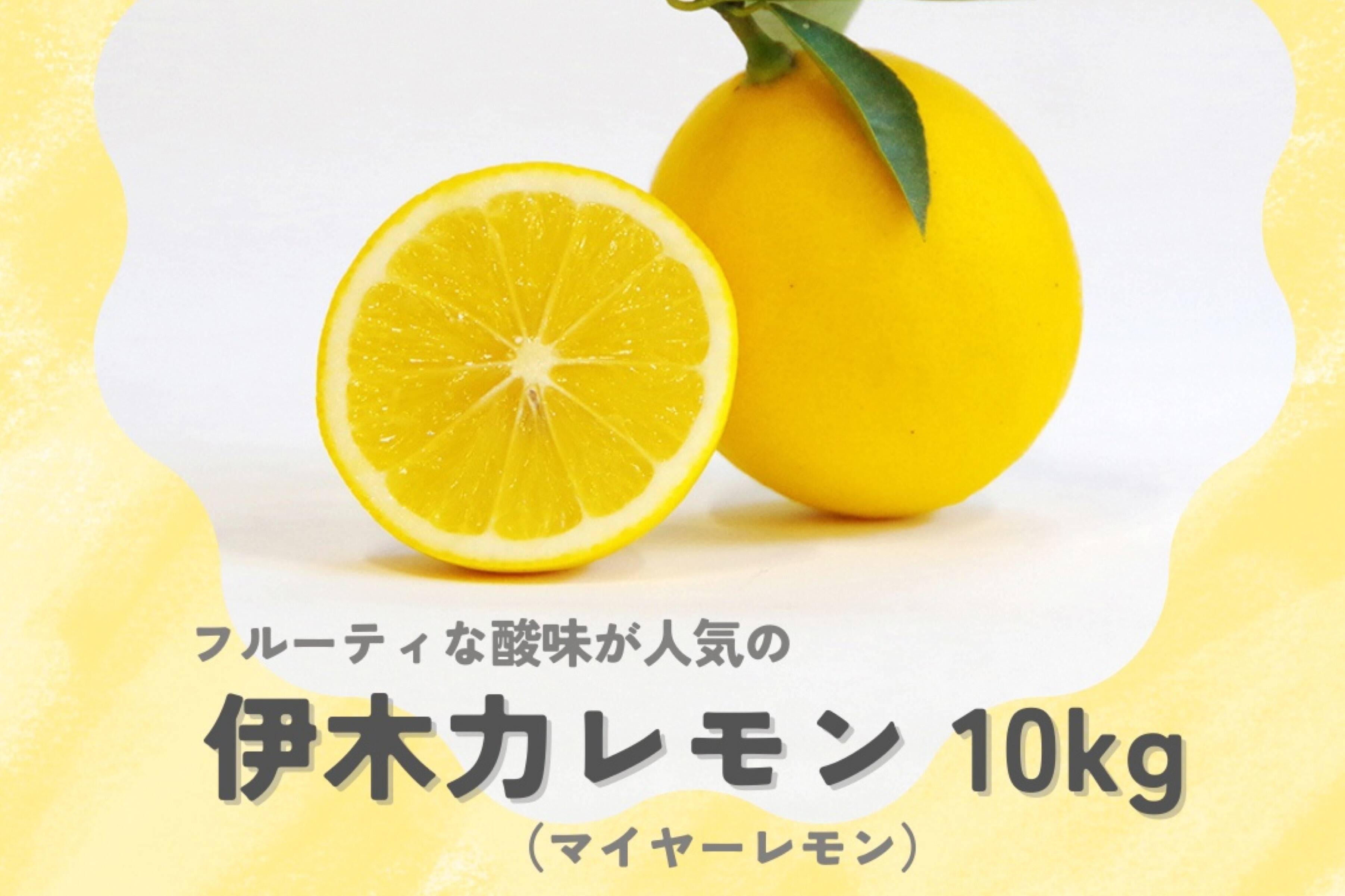 長崎県産】マイヤーレモン10kg：長崎県産のみかん・柑橘類｜食べ