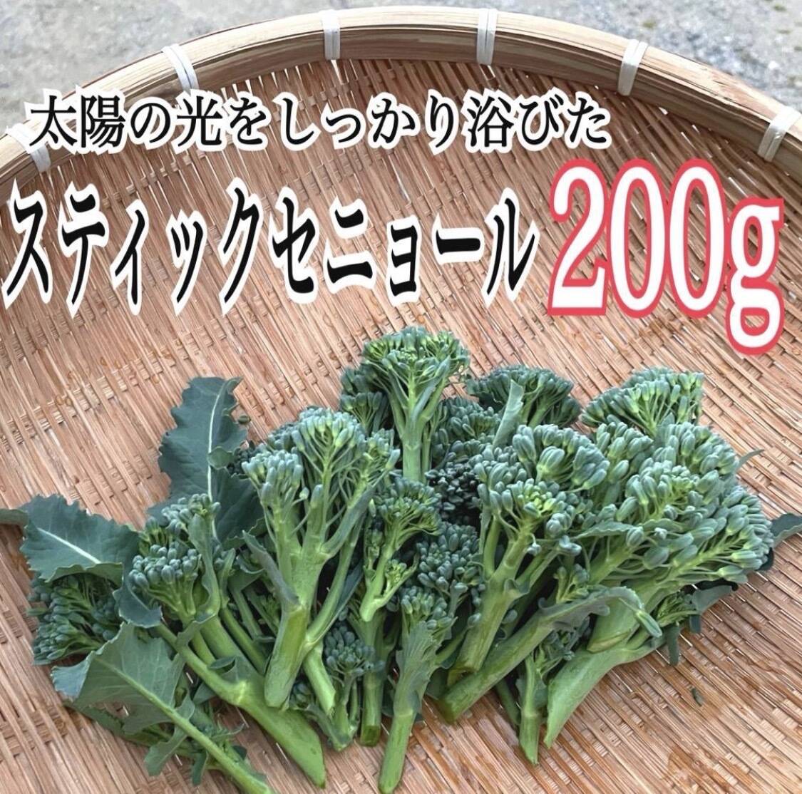 再販の茎ブロッコリーを200gお届け：岡山県産の野菜｜食べチョク｜産地