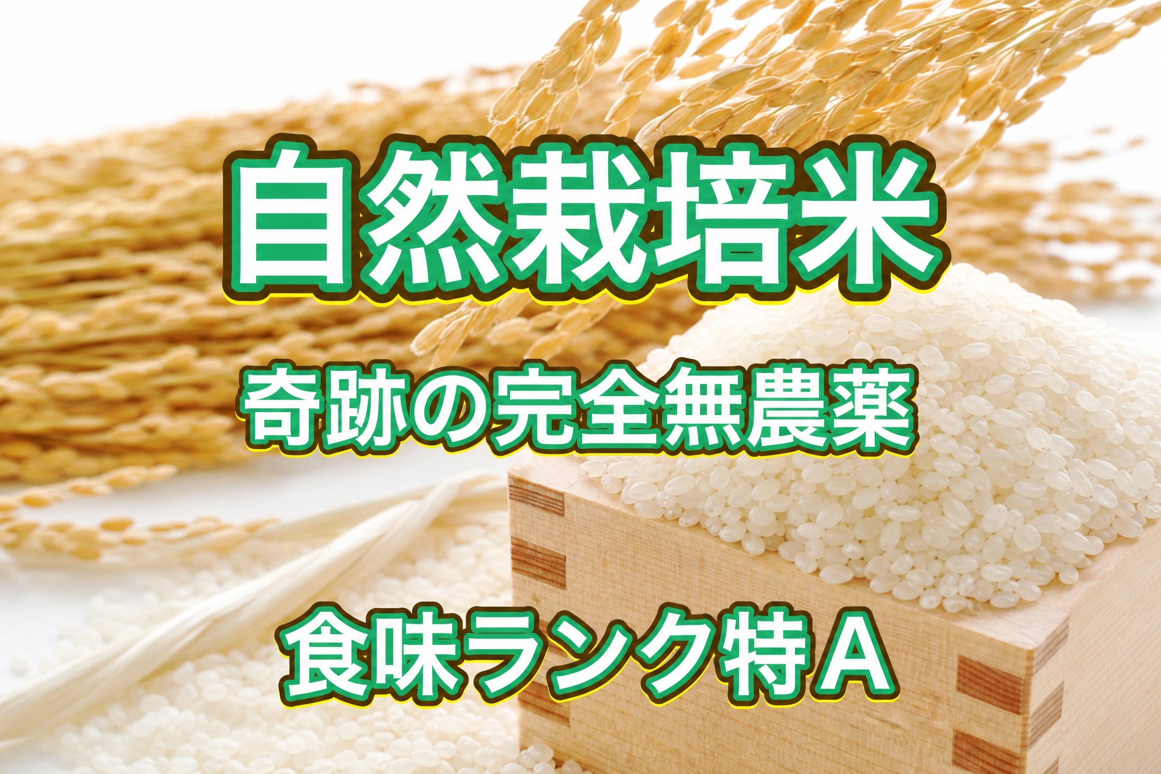 【除草剤不使用】もち米10kg 奇跡の🌾お米 10kg （無洗米）30年間農薬不使用「ありがとまい」おいし