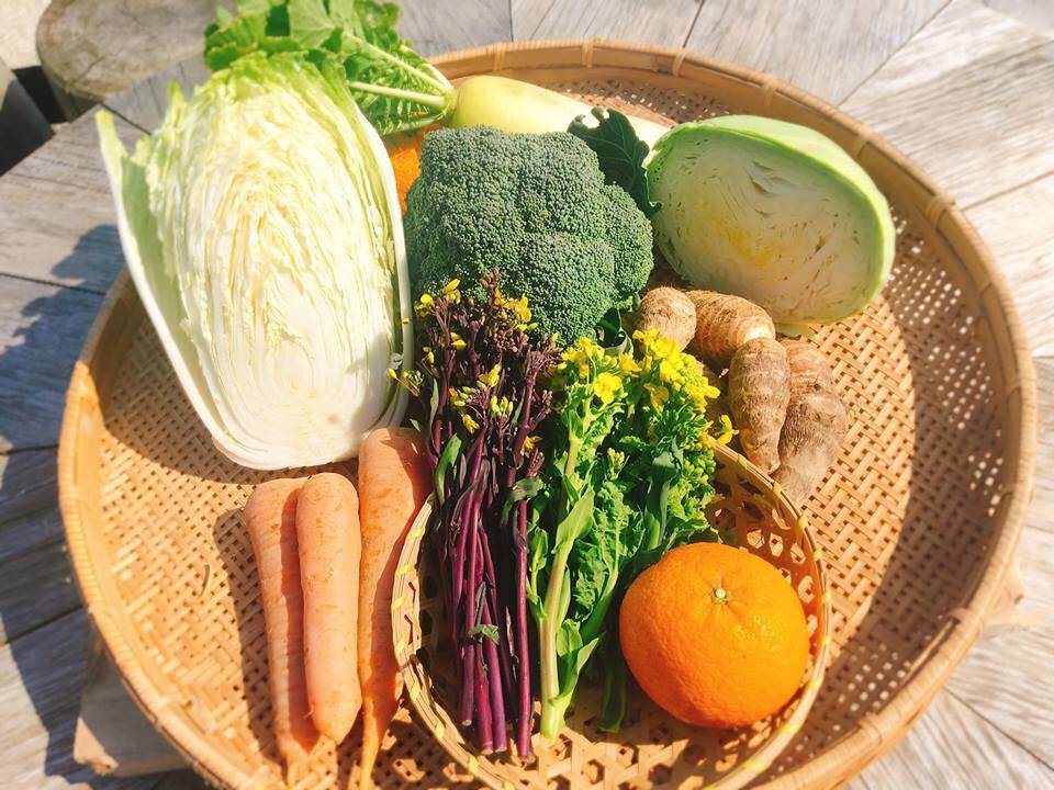 浜名湖から直送 自然農法 野菜セット 大サイズ 旬の野菜 おまかせ約９種類 ご家族3 4名様分 静岡県産 食べチョク 農家 漁師の産直ネット通販 旬の食材を生産者直送