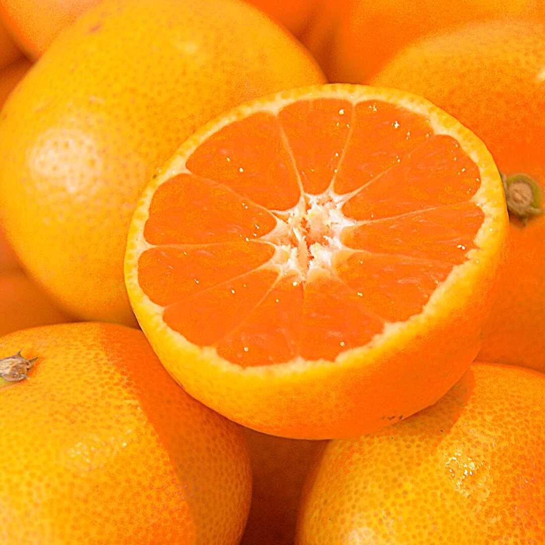 みかん2 コスモ みかん シラップづけライト 2号缶 : 石光商事 | スモール