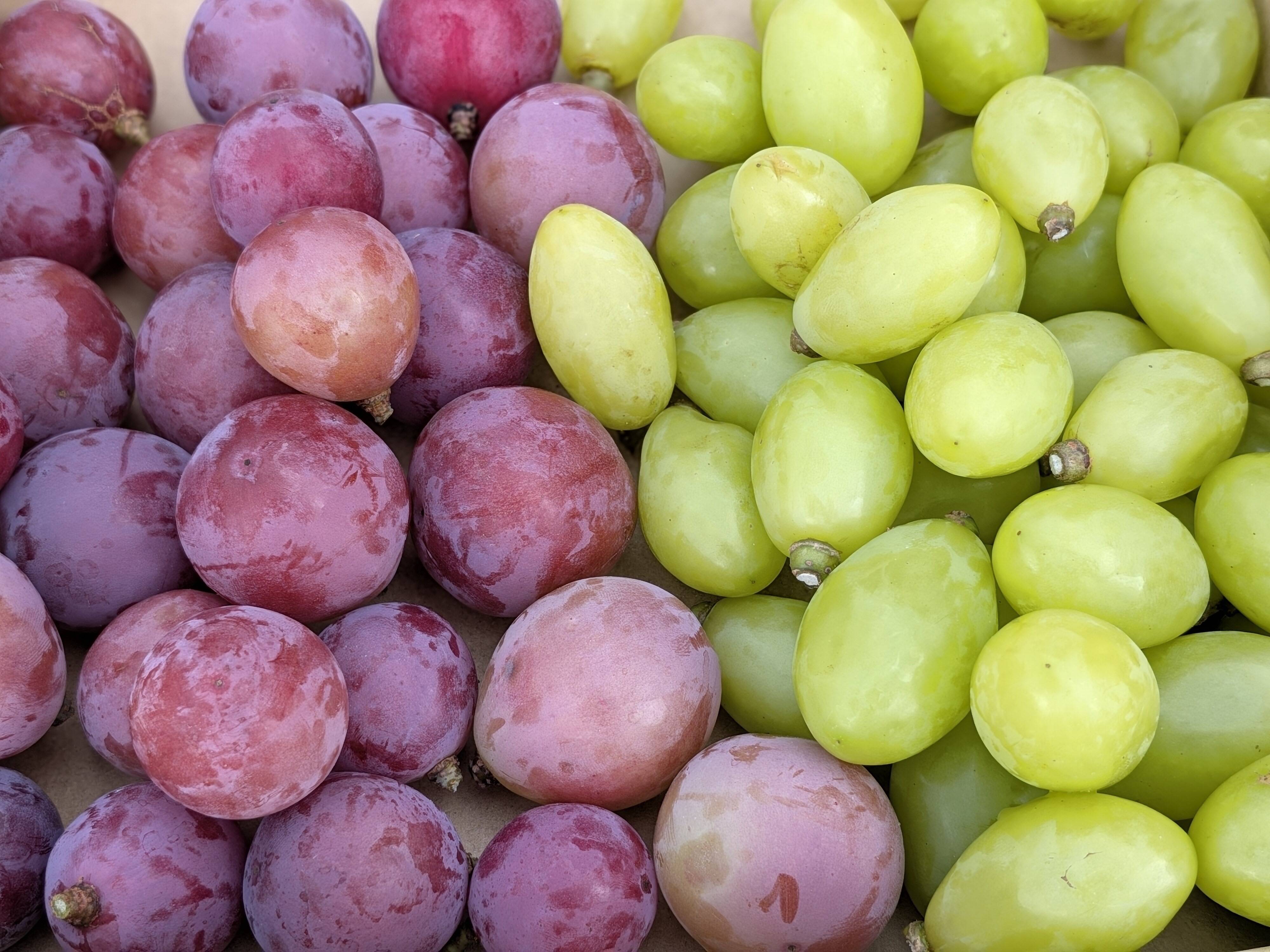 🍇【山梨県笛吹市産】【粒売り】ジュエルマスカット＆クイーンニーナ