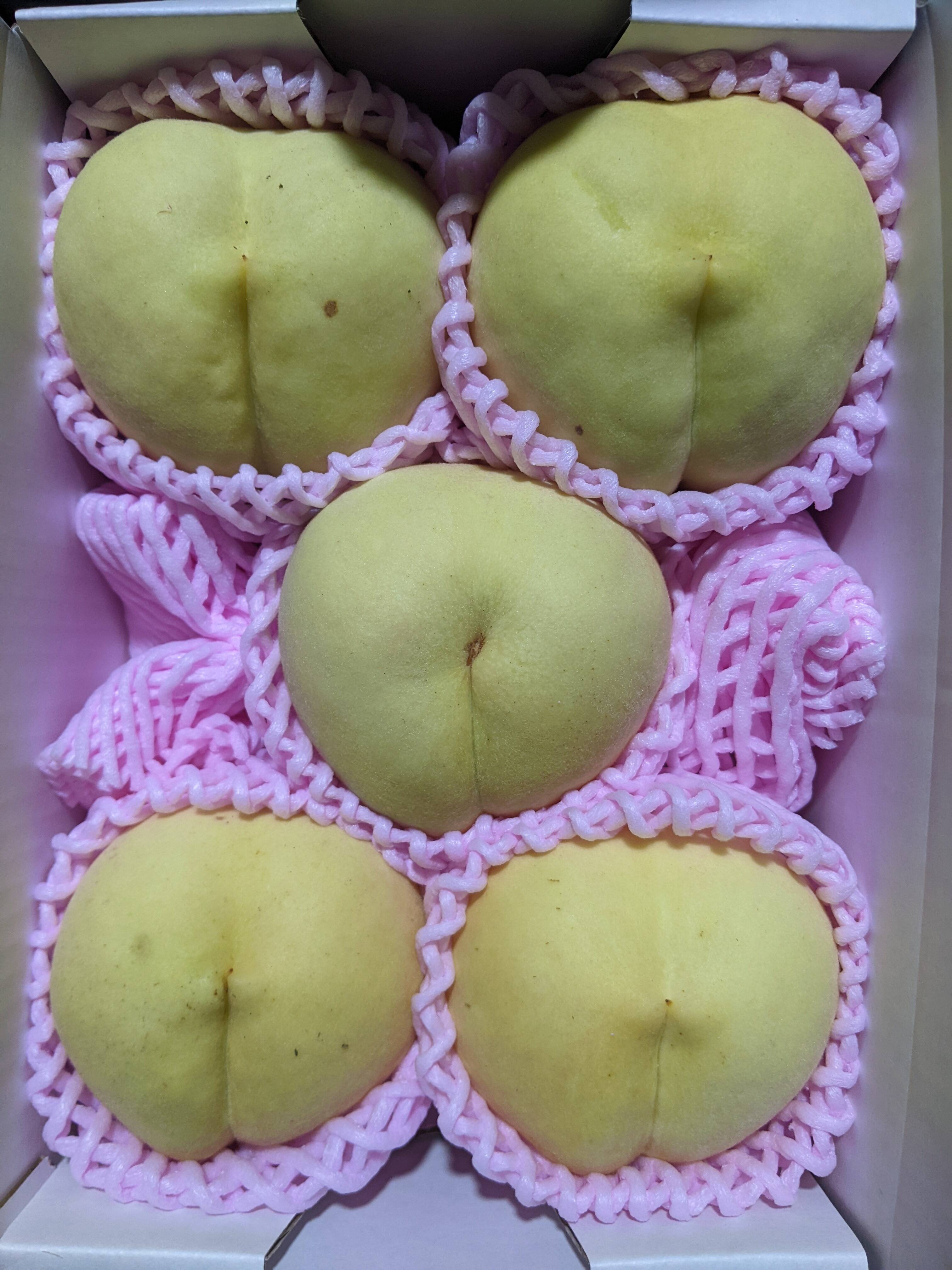 桃 大寿蜜桃 超希少 傷あり 家庭用 福島県産 4～5玉 パリパリ食感