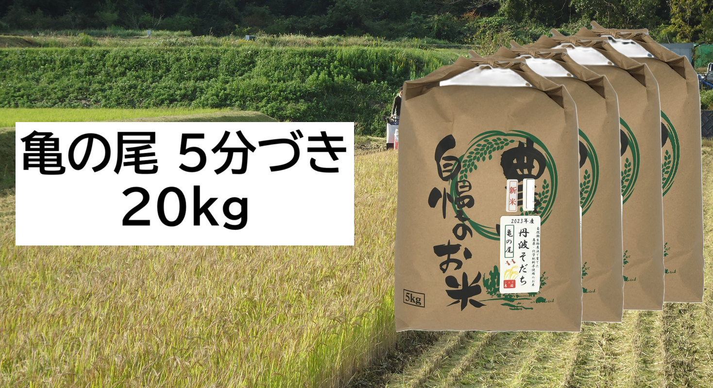新米・2026年産】自然栽培のお米『亀の尾』5分づき20kg：兵庫県産の亀