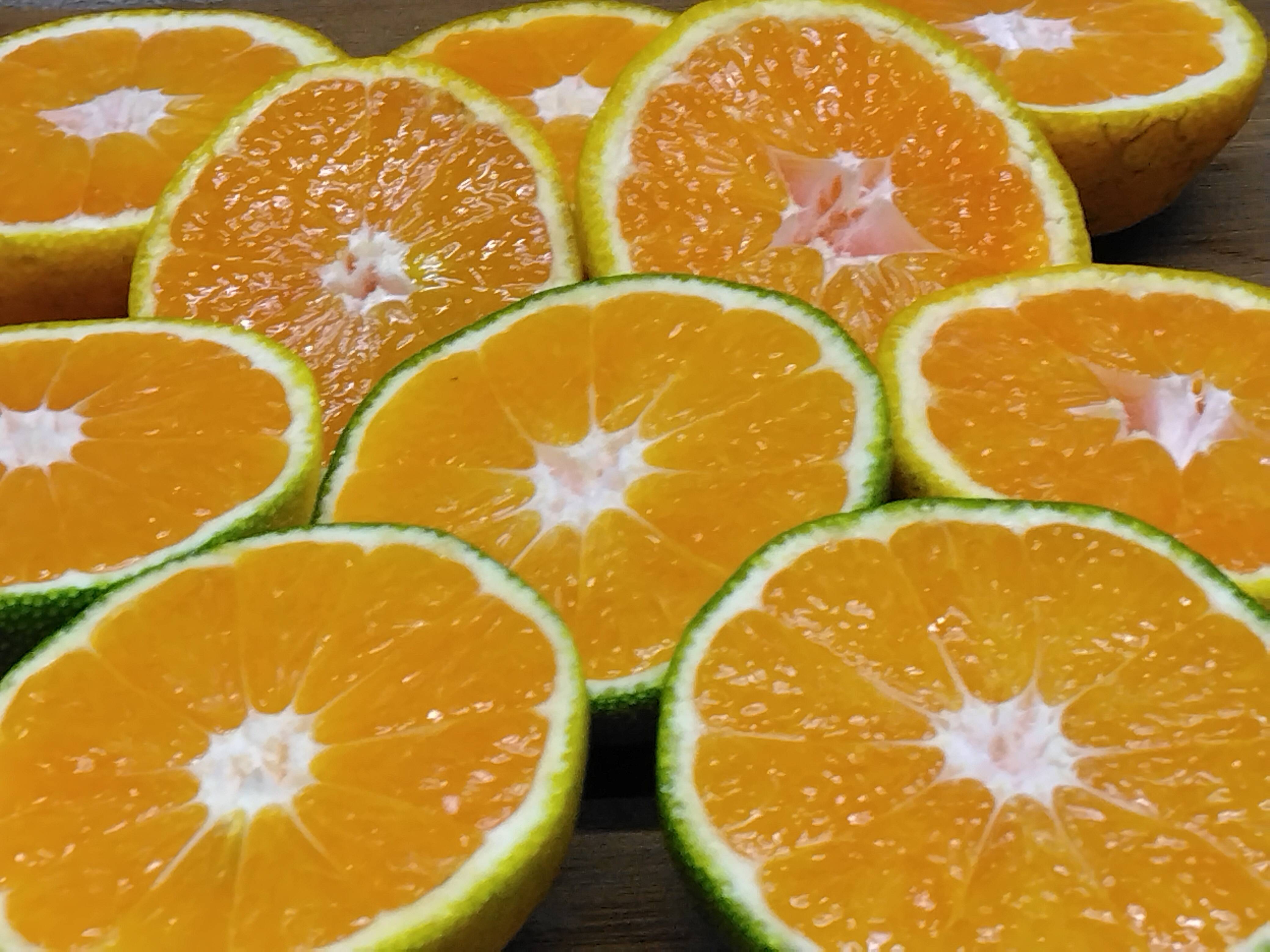 静岡県産 極早生みかん ゆら早生 約3.2㎏：静岡県産のみかん・柑橘類