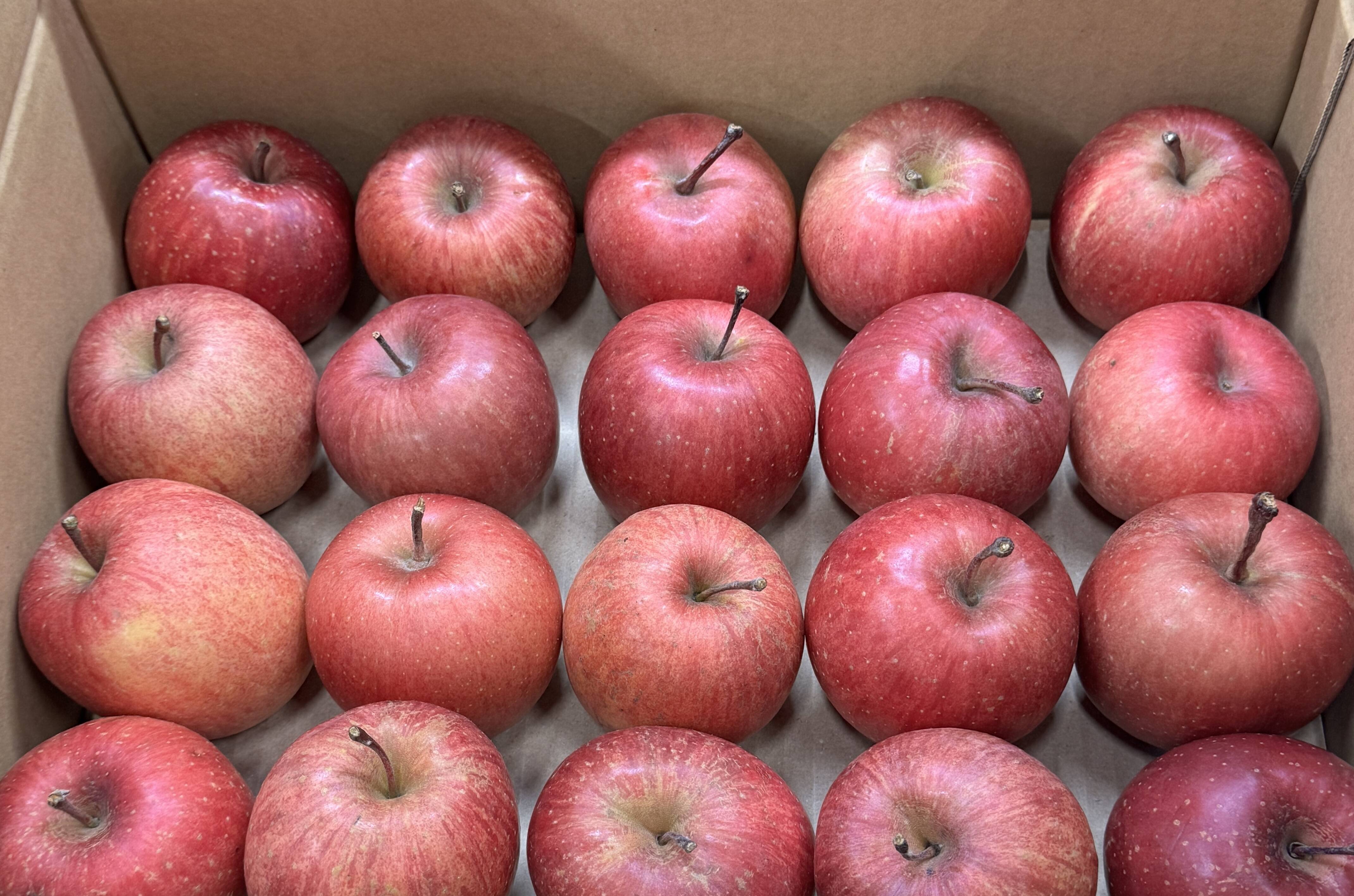 極小玉・バラ詰め】🍎毎日りんご!! サンふじ🍎家庭用 約3Kg🍎コスパ