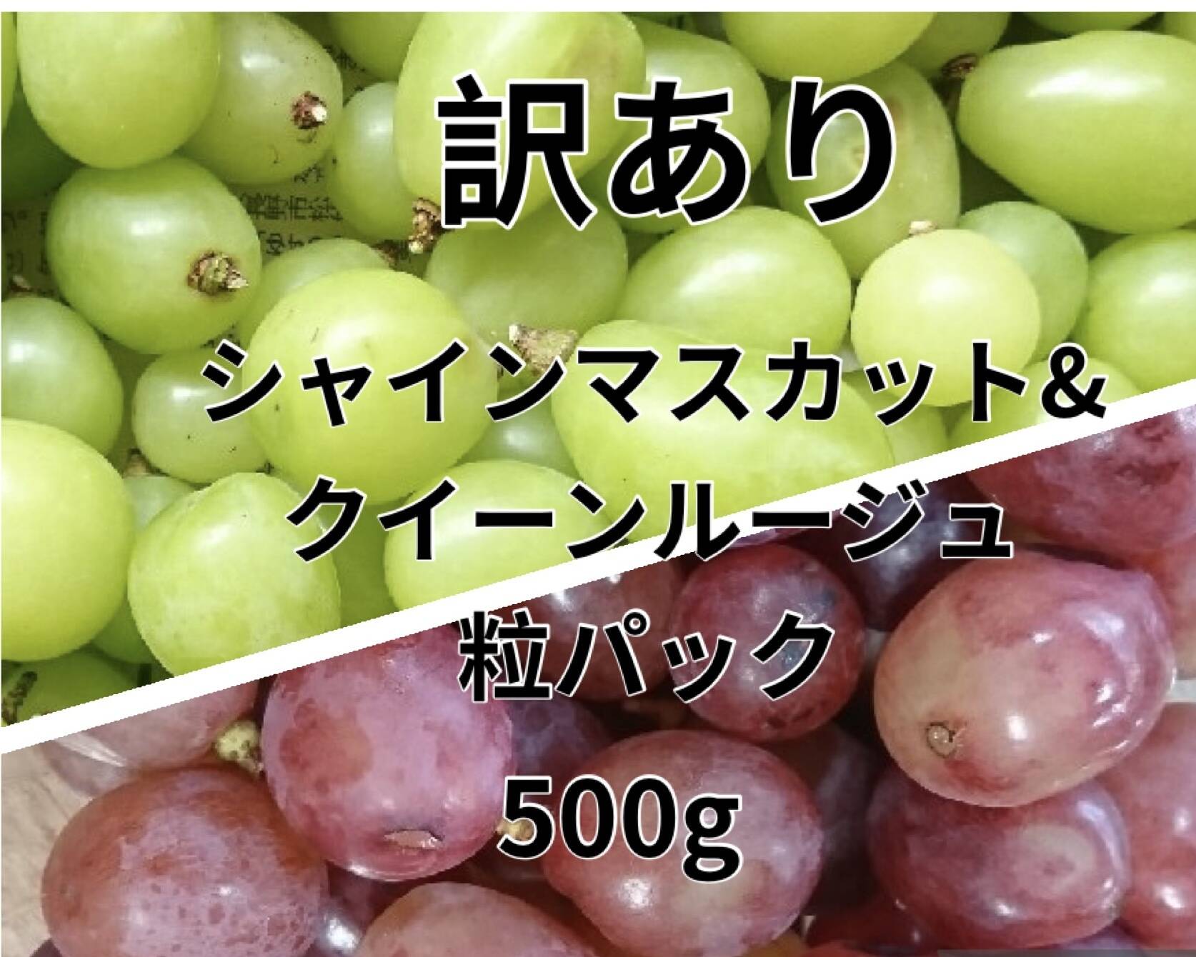 お得！訳ありシャイン&ルージュ粒パック 約500g（2パック）：長野県産