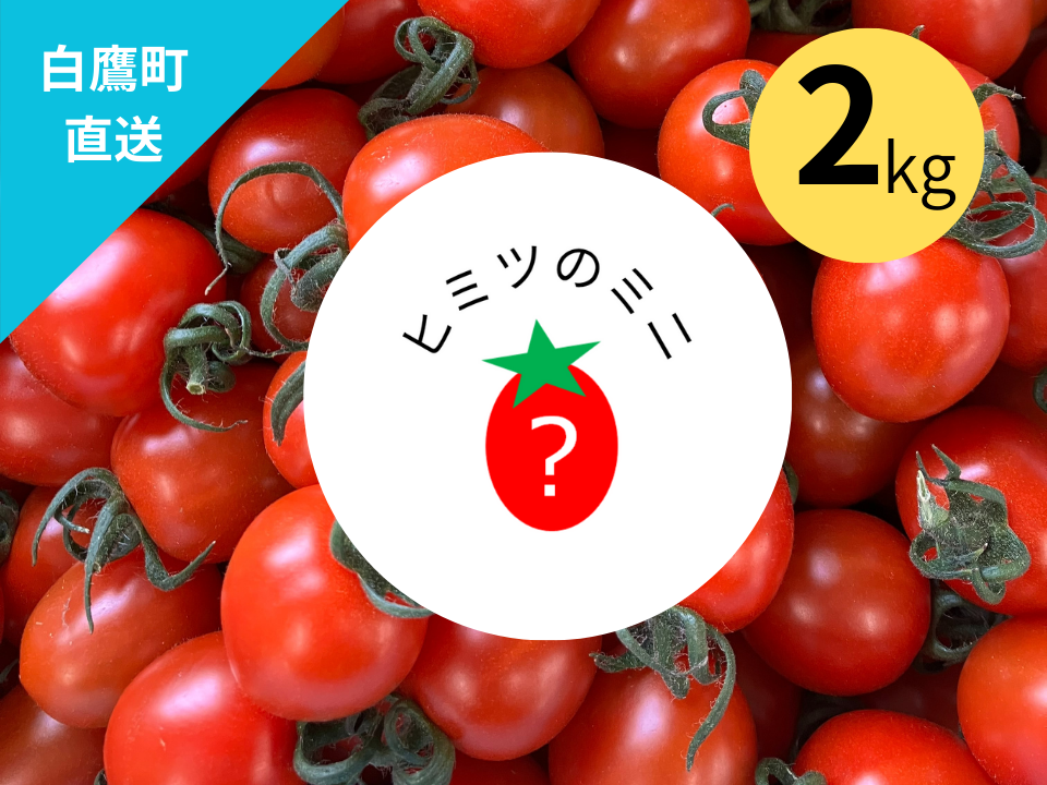 ☆2㎏☆秘密にしたい?!ミニトマト『ヒミツのミニ』約2kg（250gx8p