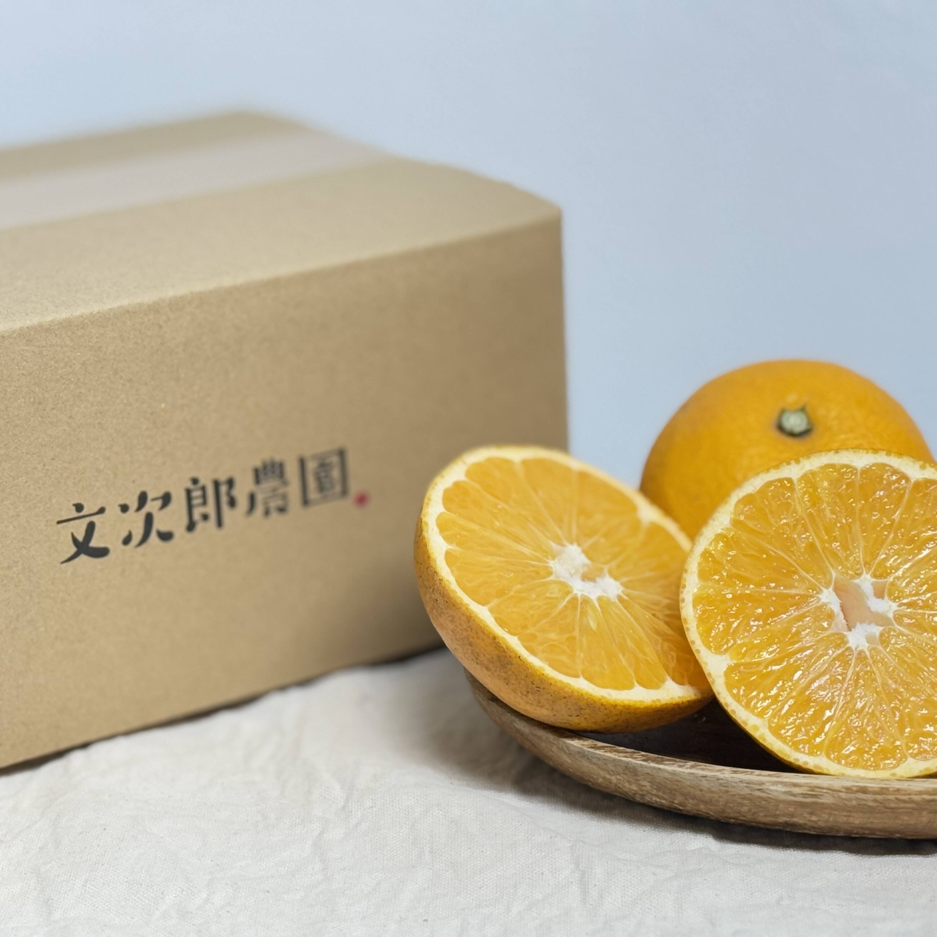 今が旬‼️ぷりぷり食感の小豆島産はっさく5kg：香川県産のみかん