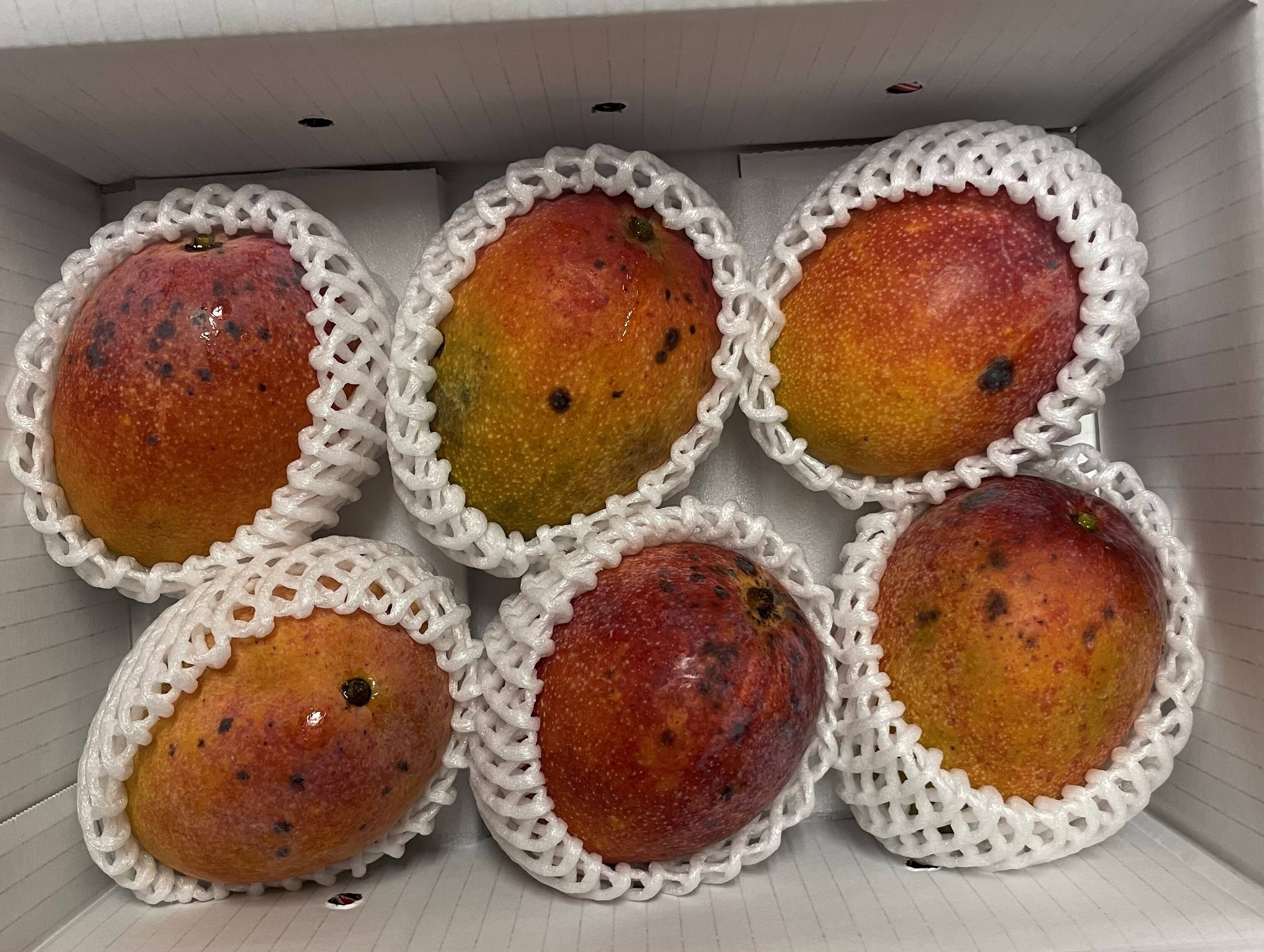 訳ありマンゴー 2kg(4玉～8玉) お買い得です！：沖縄県産の