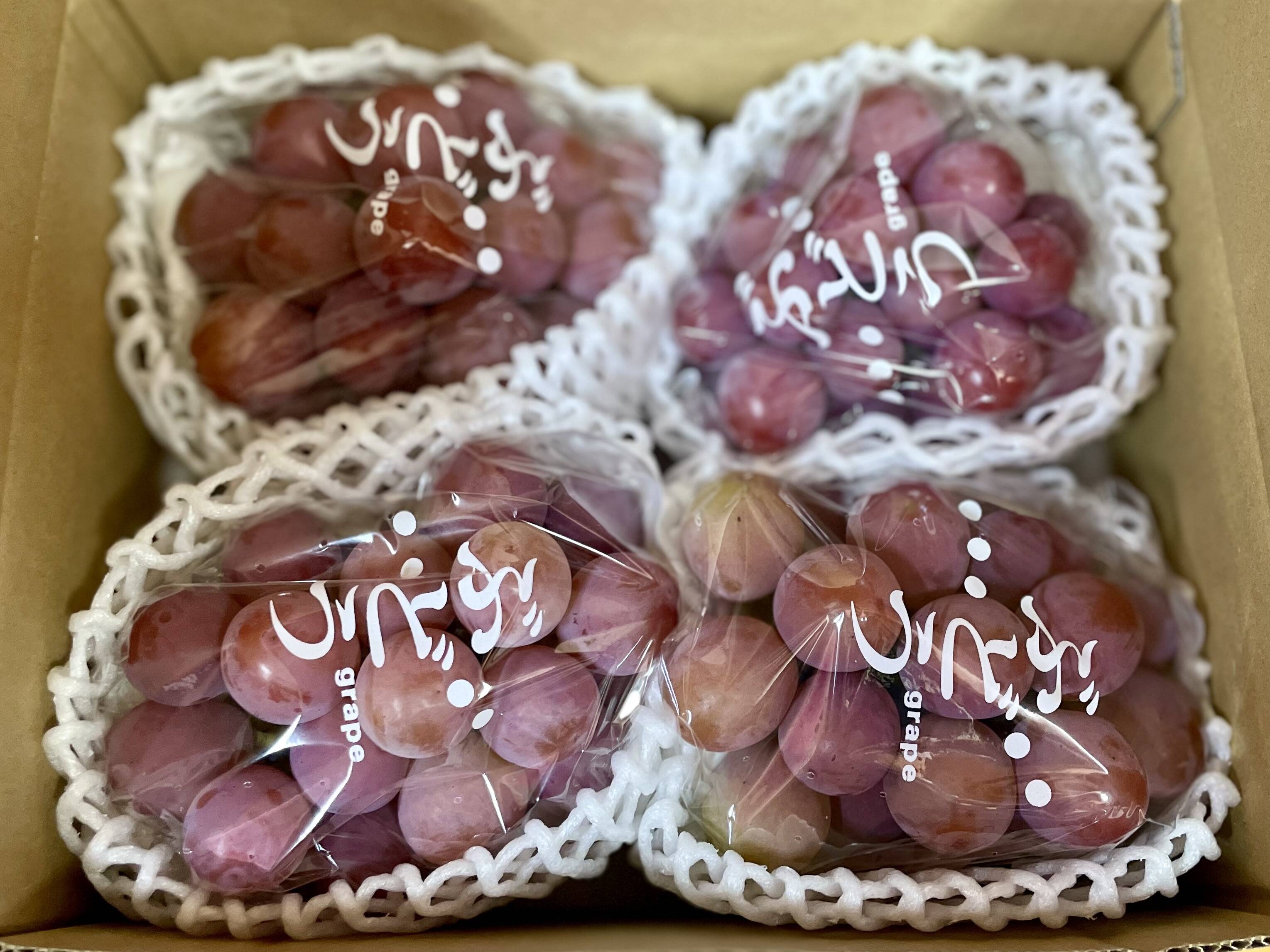 ご自宅用・農園イチ押し！】クイーンニーナ1.2kg箱 ピンクの可愛いレア