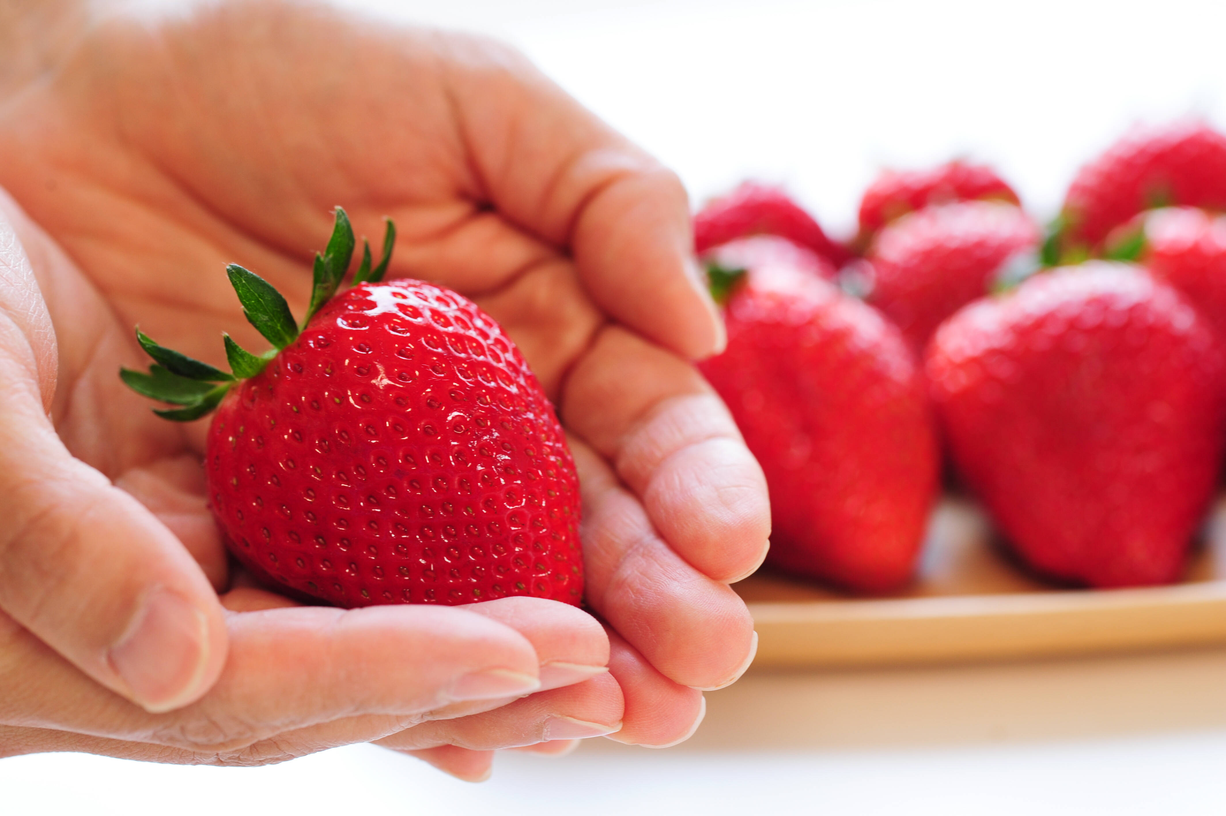 食べチョク限定】摘みたて直送！とちぎのいちご3種詰め合わせセット（4