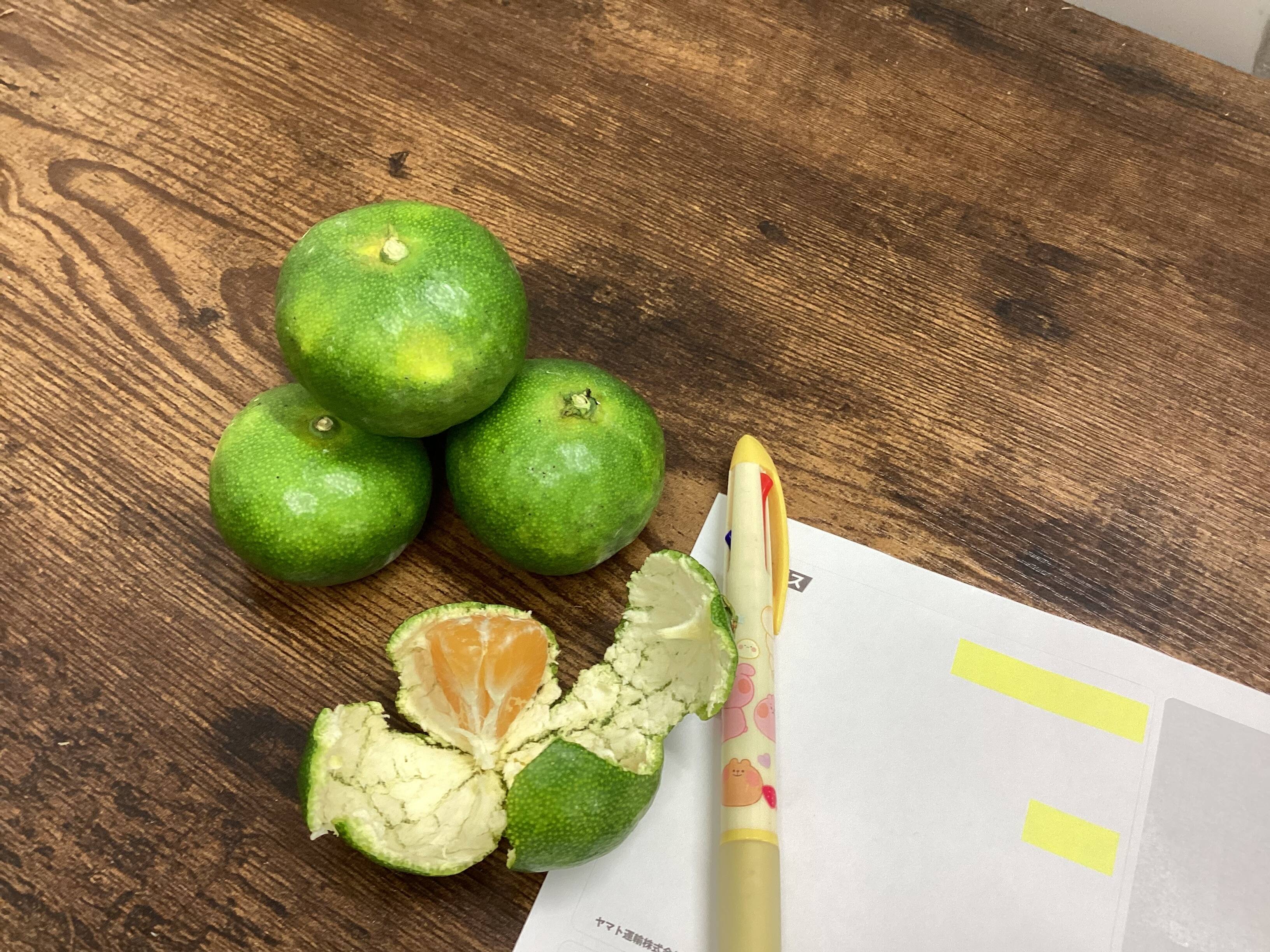 直送中！もぎたて極早生1.5kgお試しから、10セットも送料同じ瀬戸内
