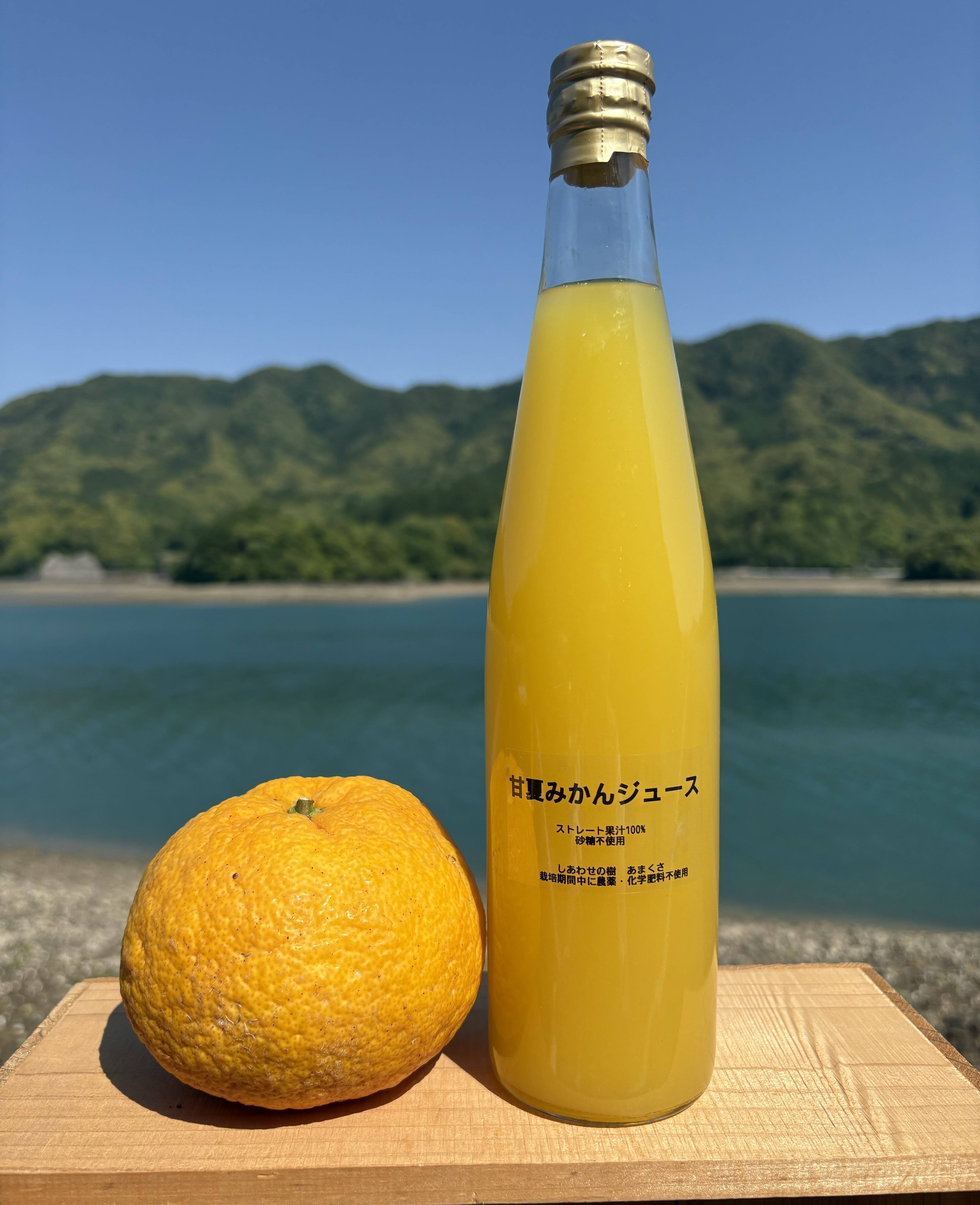 日本の柑橘】生搾り果汁100%ストレートジュース（熊本特産 甘夏みかん
