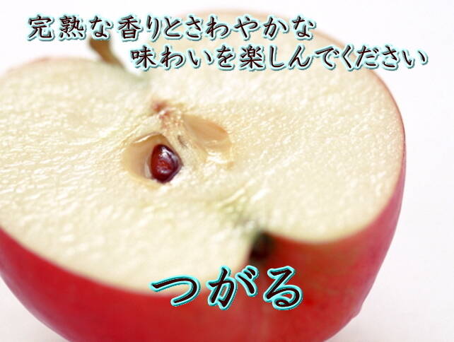 爽やかな夏リンゴ 「サンつがる」 自宅用2キロ：山形県産のつがる