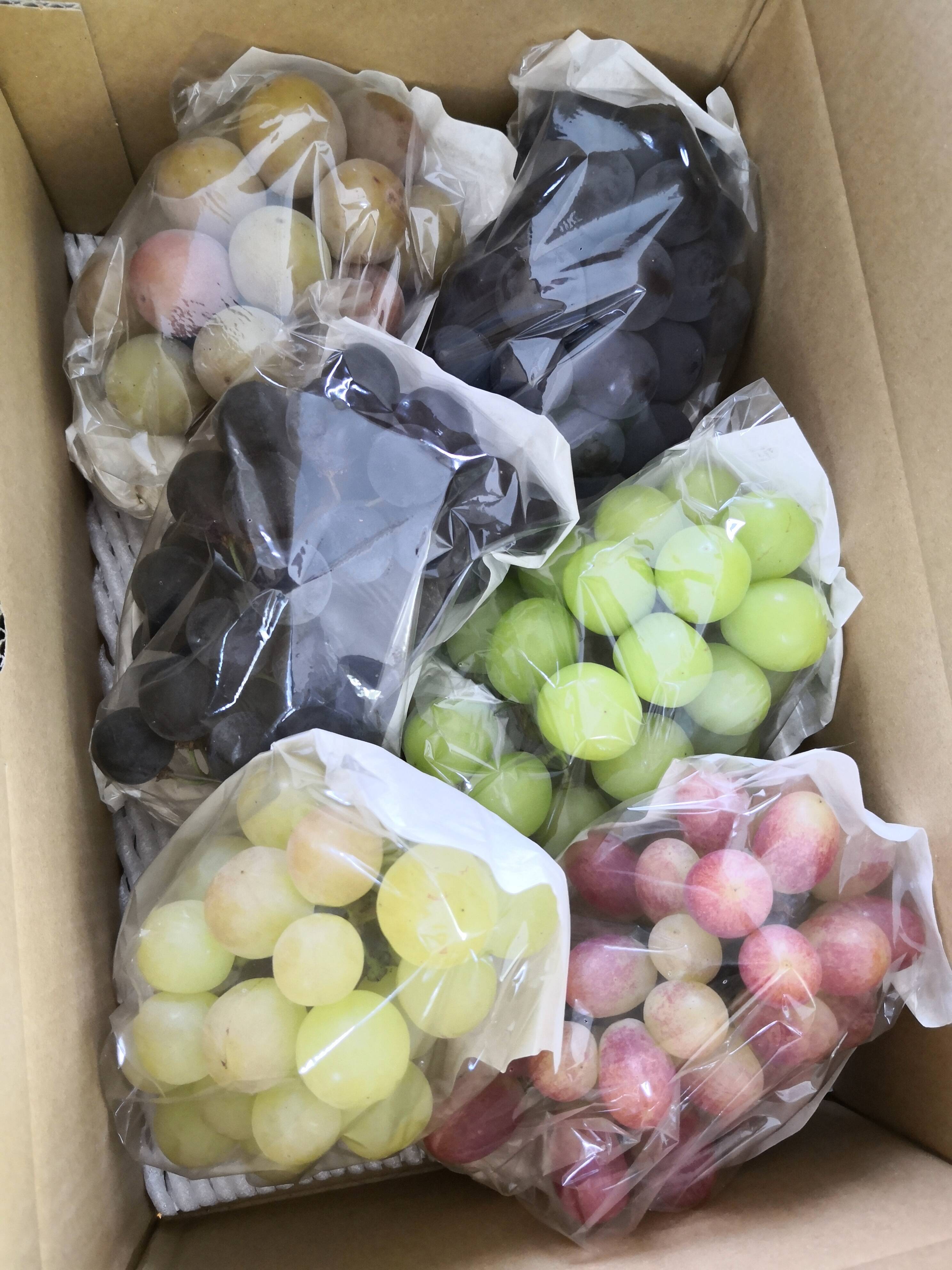 家庭用ぶどう詰め合わせ　4種箱込み3.3kg 8/15-20発送：ご家庭用4～6房】旬のぶどう詰め合わせ（品種