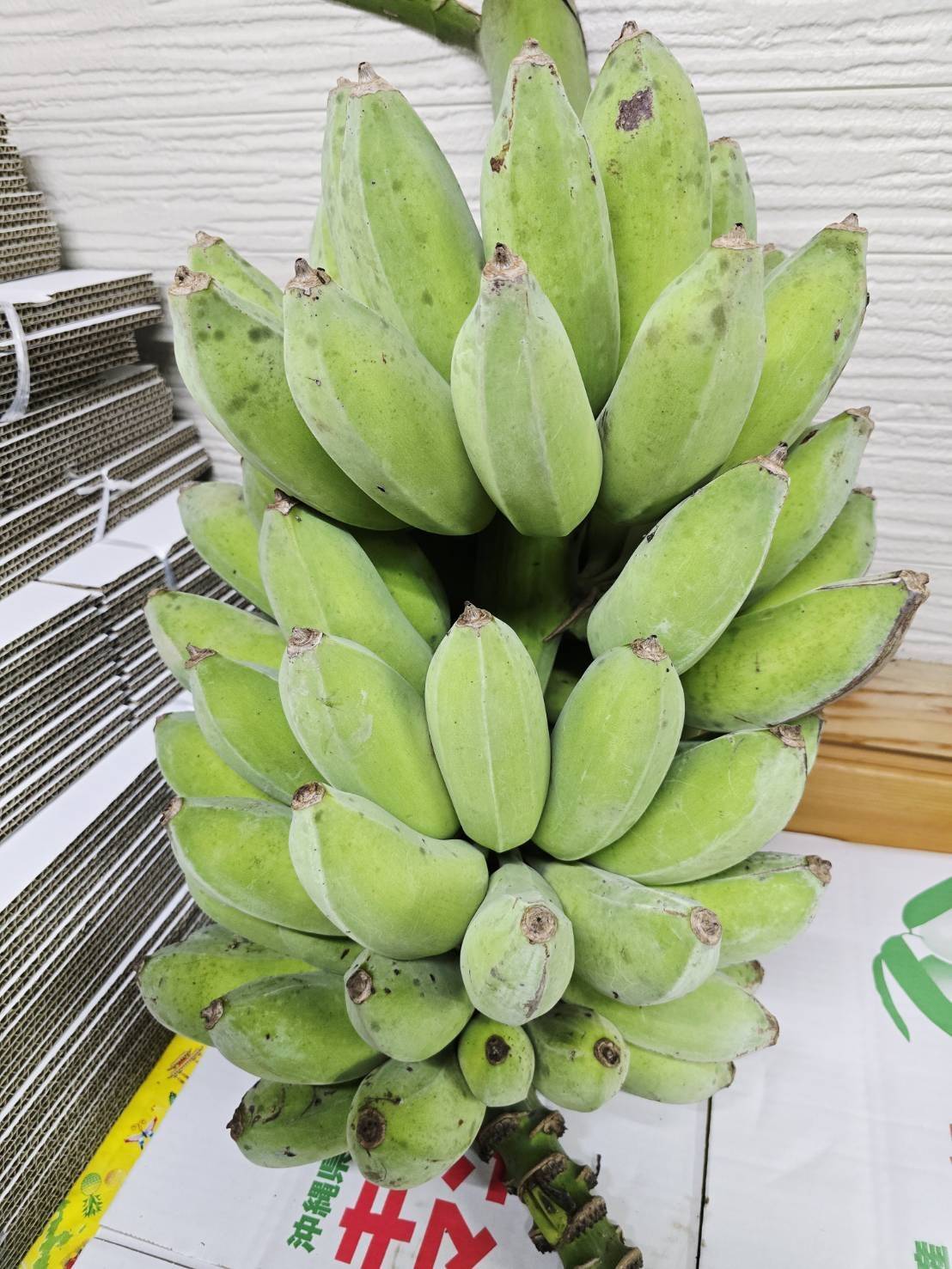 沖縄県産 アップルバナナ3kg お試し価格】アップルバナナ！3kg：沖縄県産のその他バナナ
