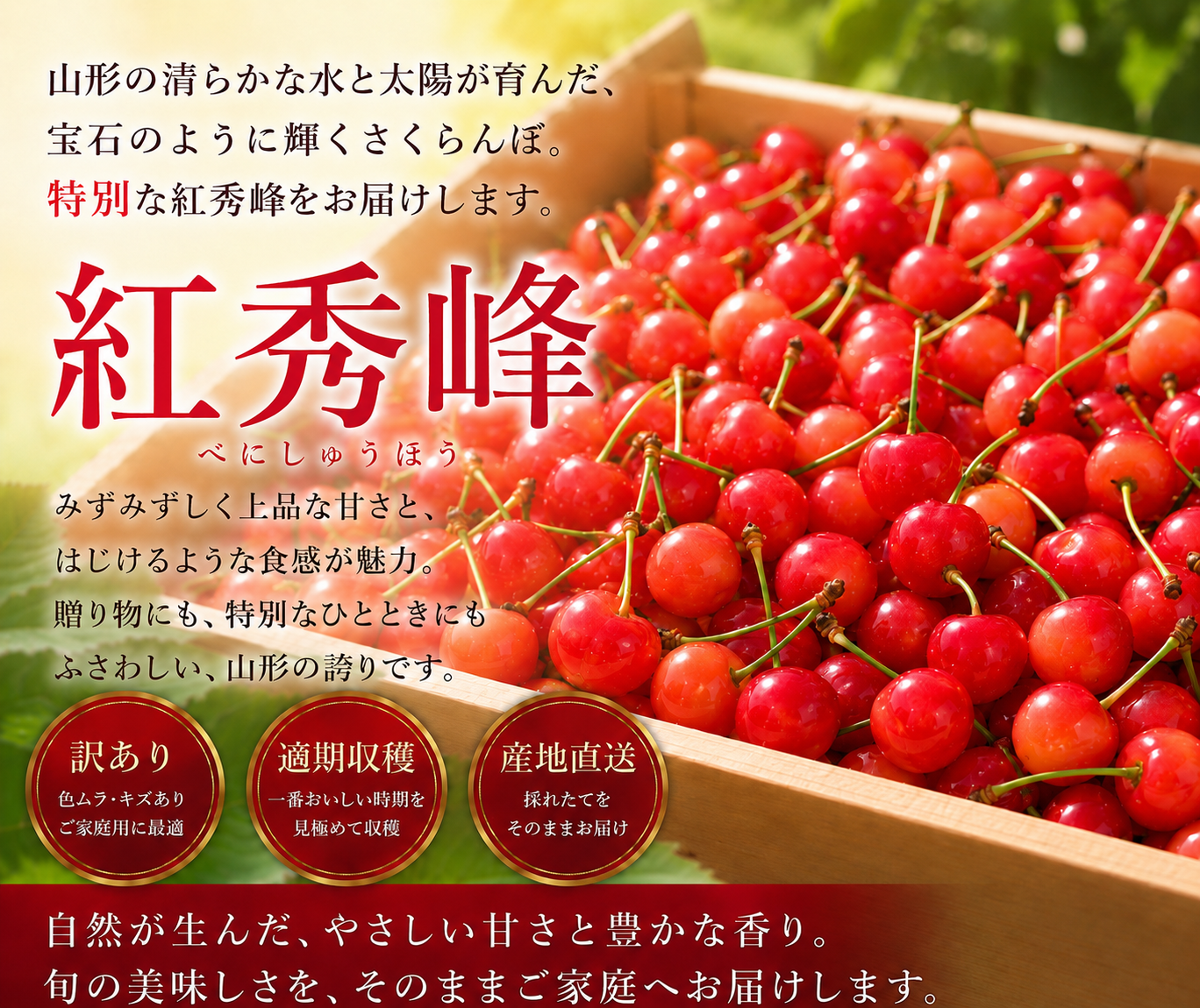 10箱限定セール中！山形県産 さくらんぼ 紅秀峰 訳あり 1kg：山形県産
