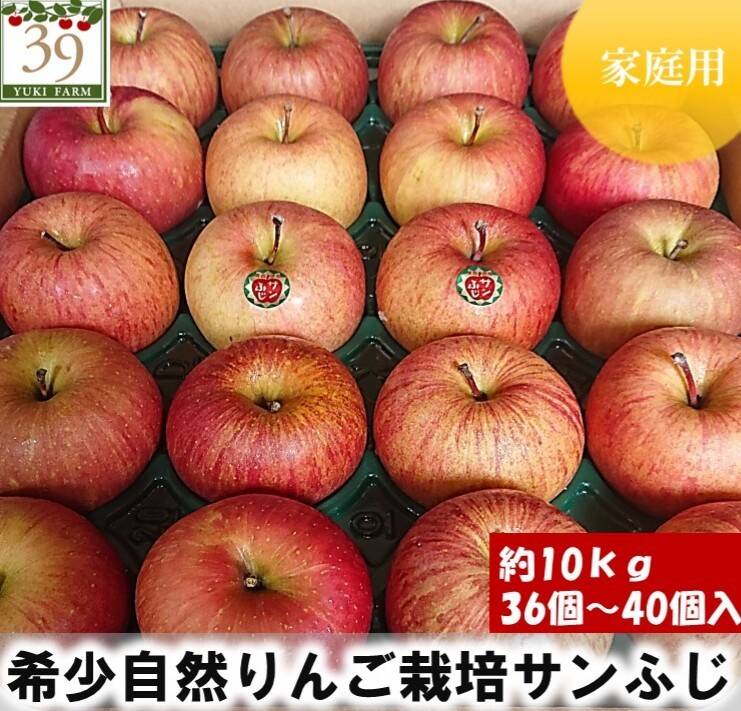 ☆期間限定☆青森県産 もりのかがやき 希少 りんご 6~8玉 ㉞ 通販
