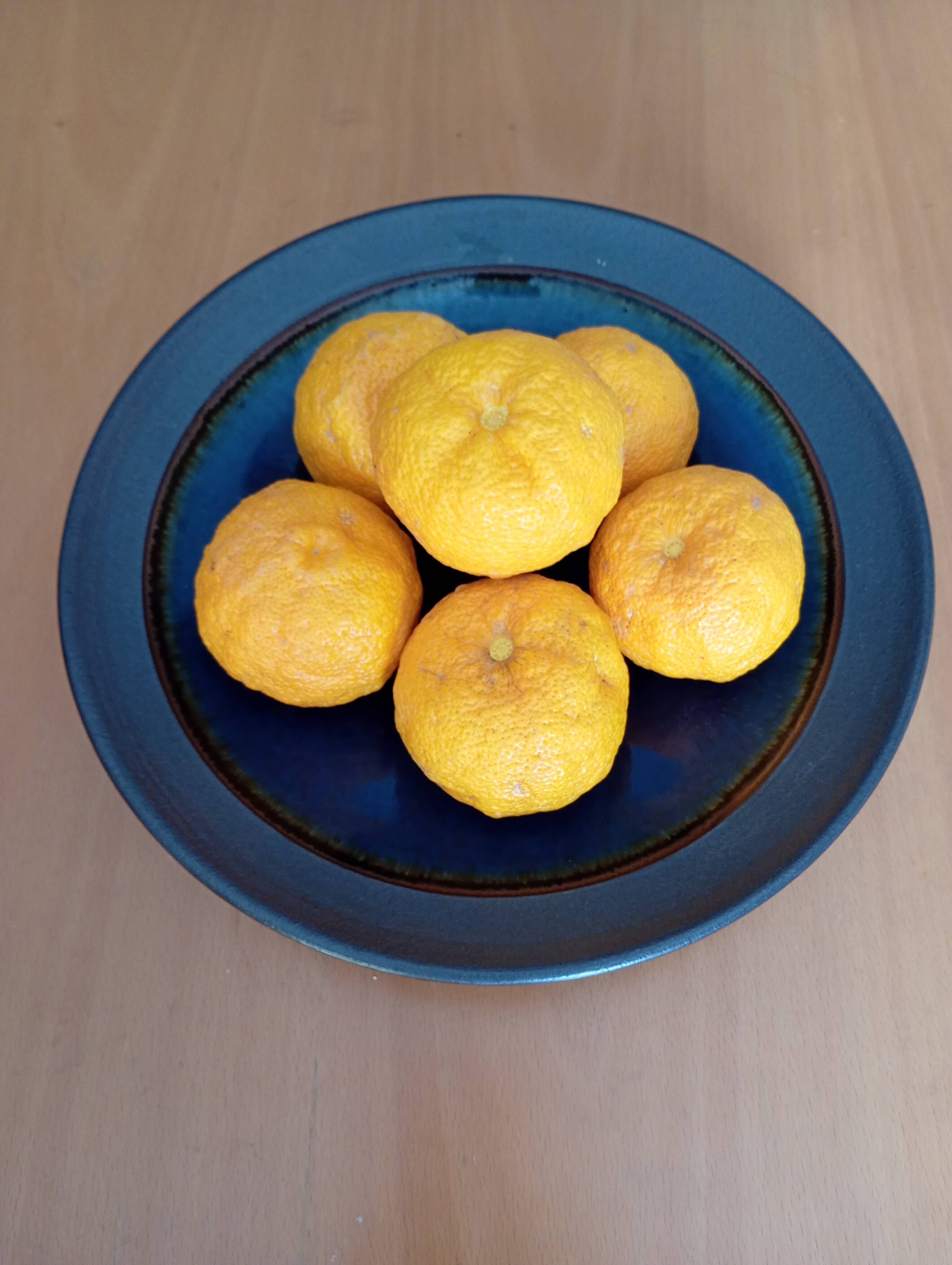 柚子 有機JAS認証 柚子（ゆず）2000g：島根県産のみかん・柑橘類｜食べ