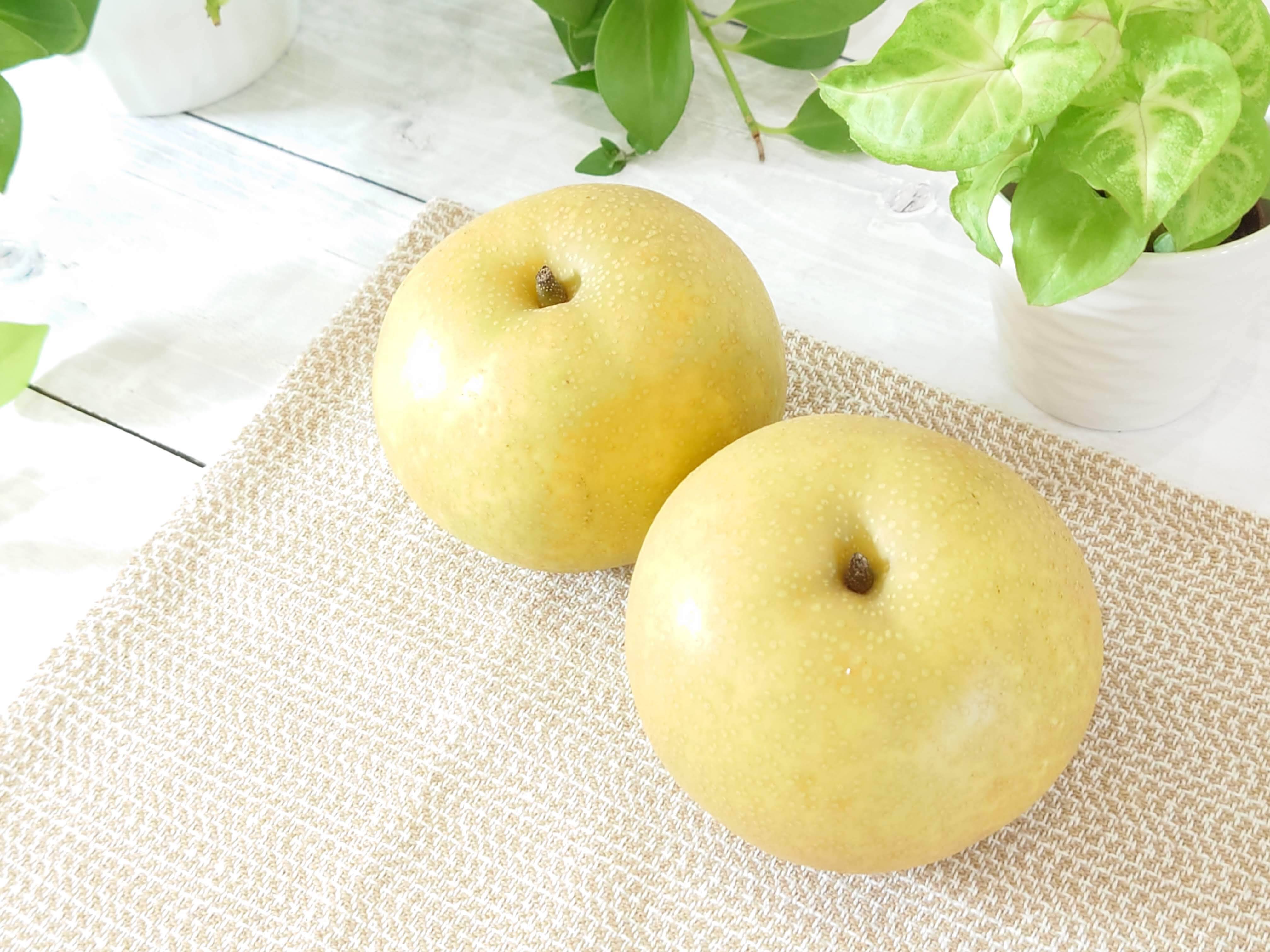 【旬の味覚】幸水梨♪ 甘みが強く果汁たっぷり！5kg*2箱 果汁溢れる優しい甘さの幸水梨 約5kg【特大サイズ】【夏ギフト】：新潟