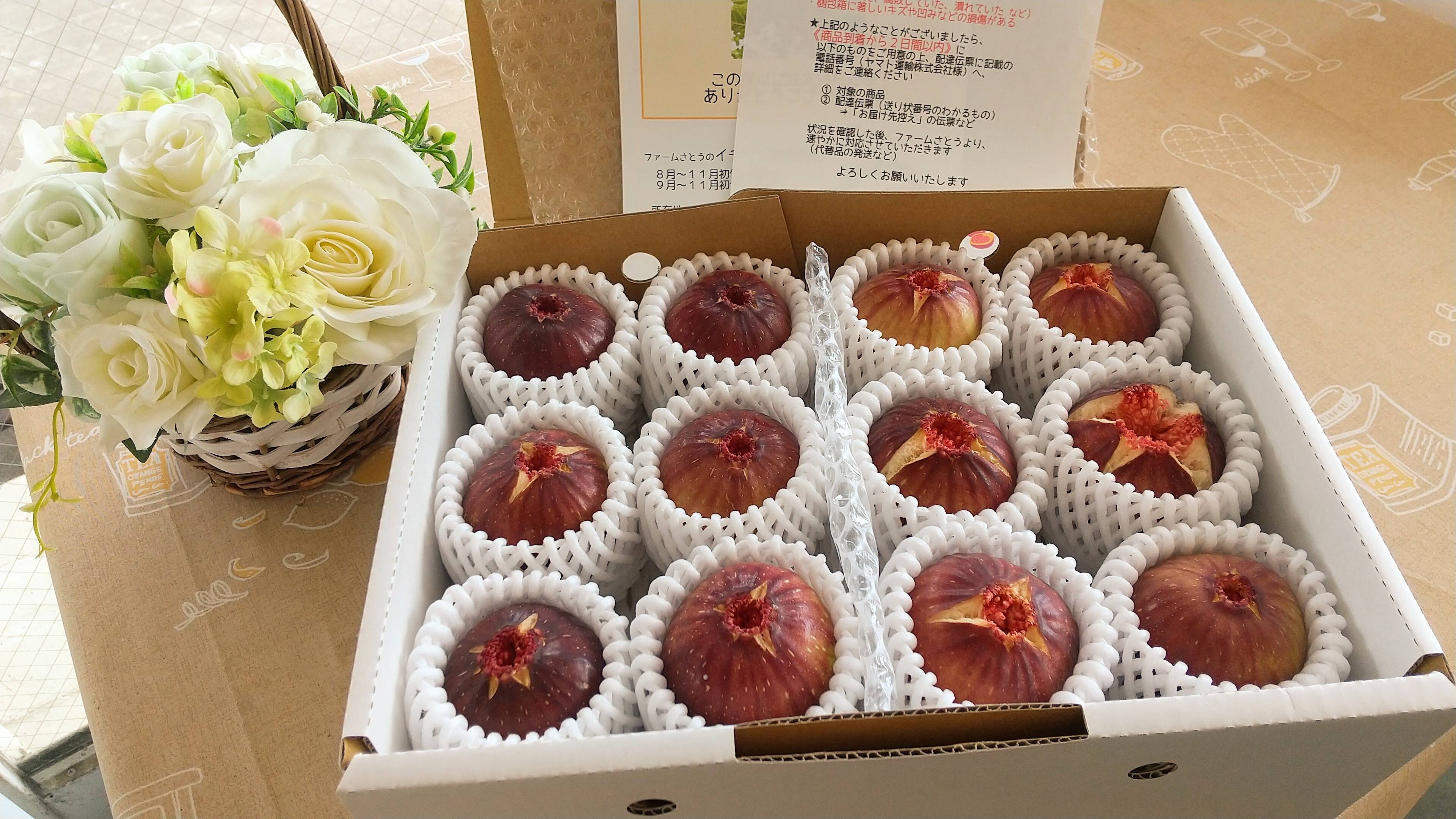 涼しすぎる日々がやってきました。｜食べチョク｜産地直送(産直