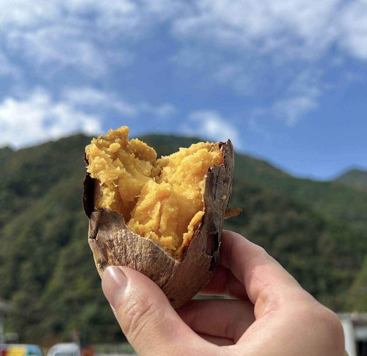 5763376f5560faadb5cd7c8e88fb7a