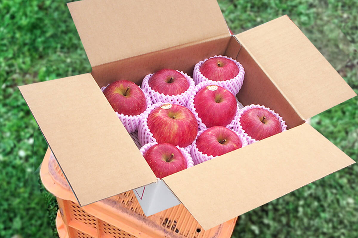 朝もぎ！農薬節減 早生ふじ りんご こうりん 2kg箱まんぱい詰め 6~8玉