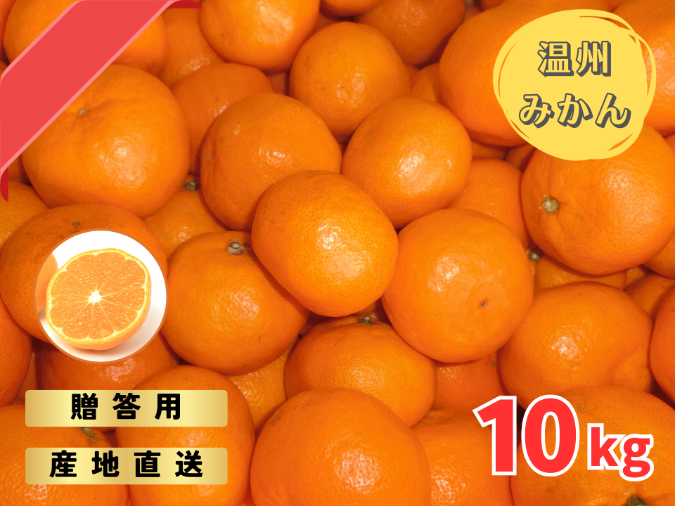 ⑲和歌山県宮川早生温州みかん「樹熟大坊みかん」秀品10Kg 甘い 蜜柑